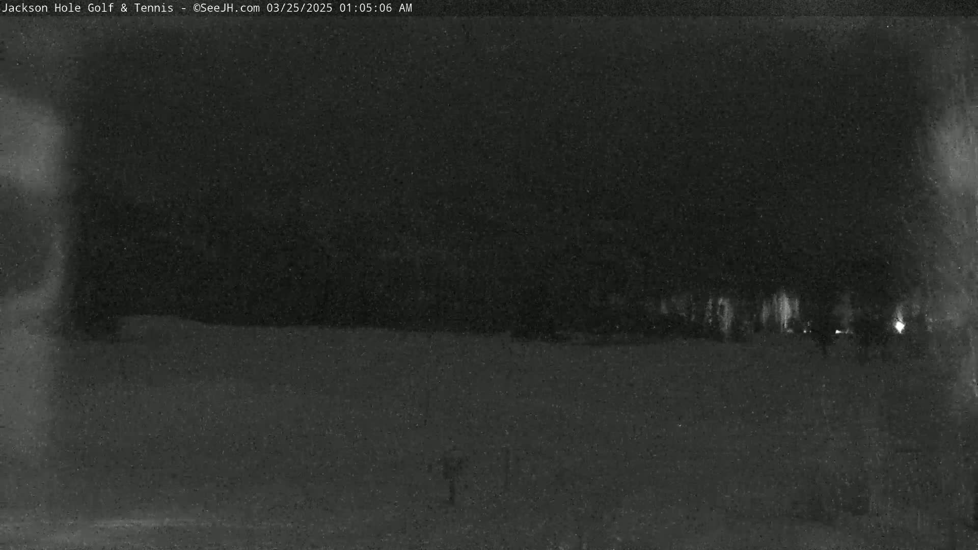 A nighttime, low-light view of a flat, dark landscape with a line of dimly lit trees or structures in the distance.