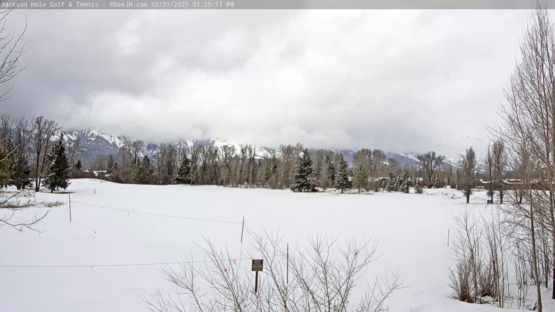 A snow-covered field stretches out before snow-dusted trees and mountains under a cloudy sky.