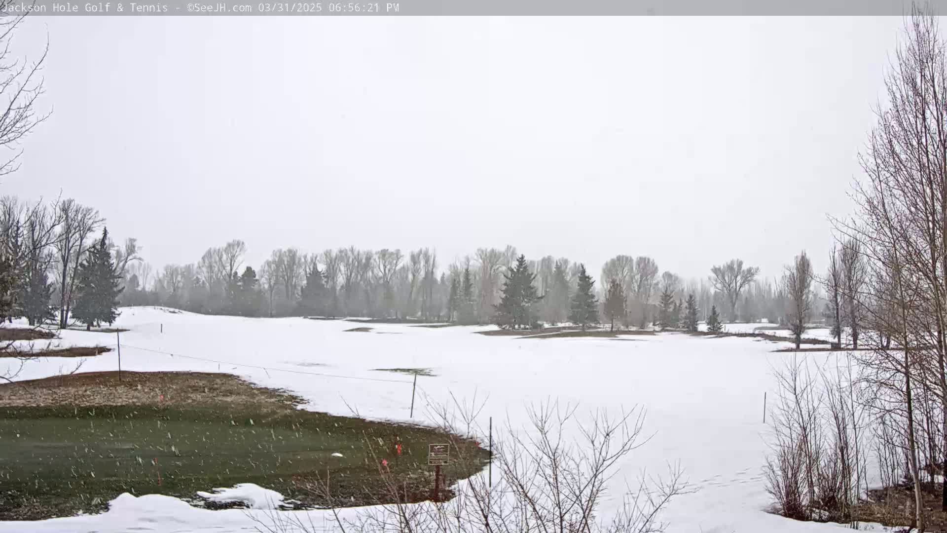 A snow-covered golf course with bare trees and light snowfall.