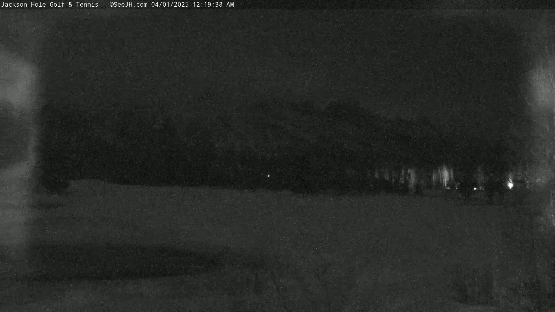 A nighttime, low-light image shows a dark landscape with a line of trees or shrubs in the distance.