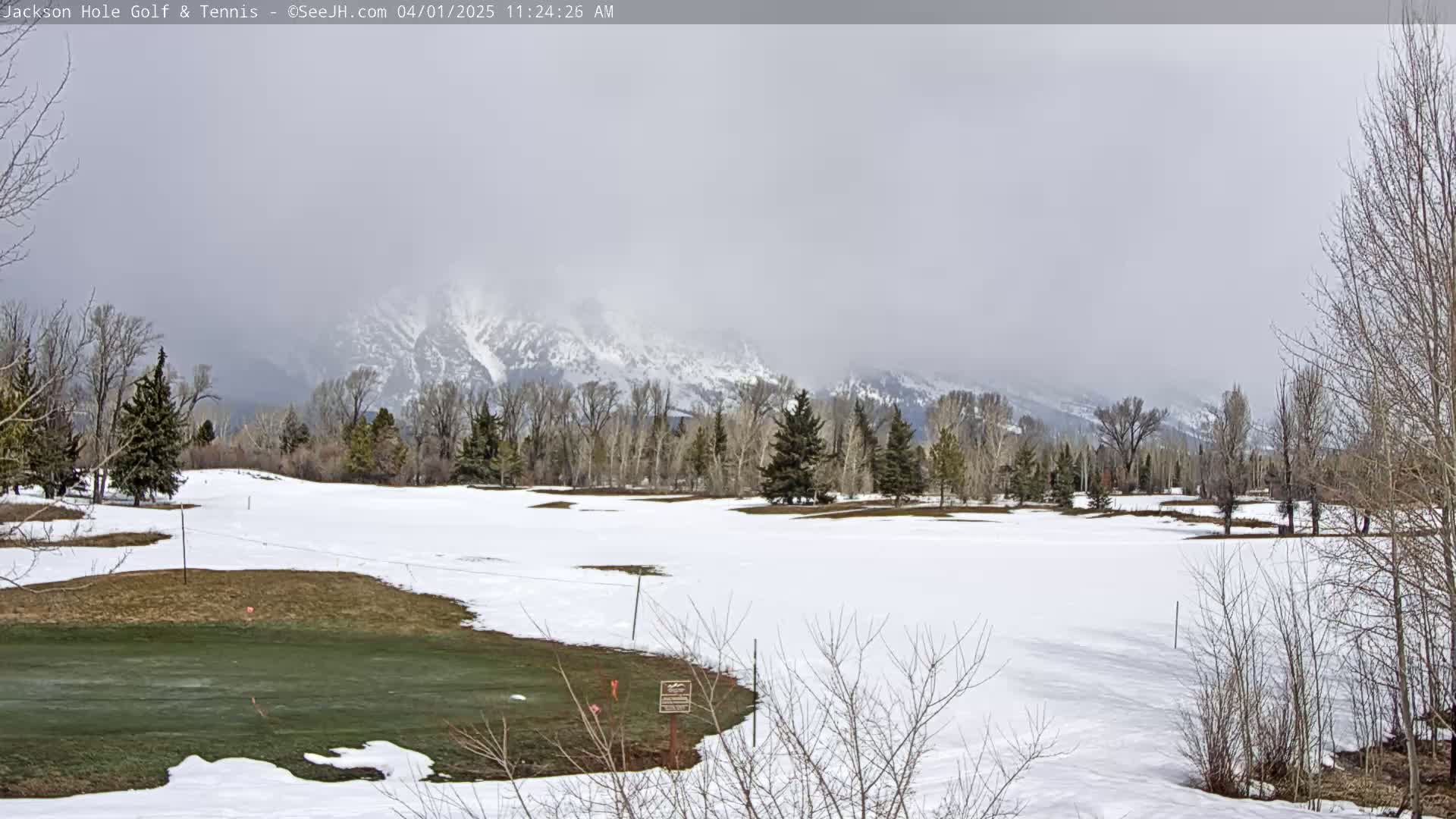 A snow-covered golf course with a green visible, surrounded by bare trees and a snow-capped mountain range in the background under an overcast sky.