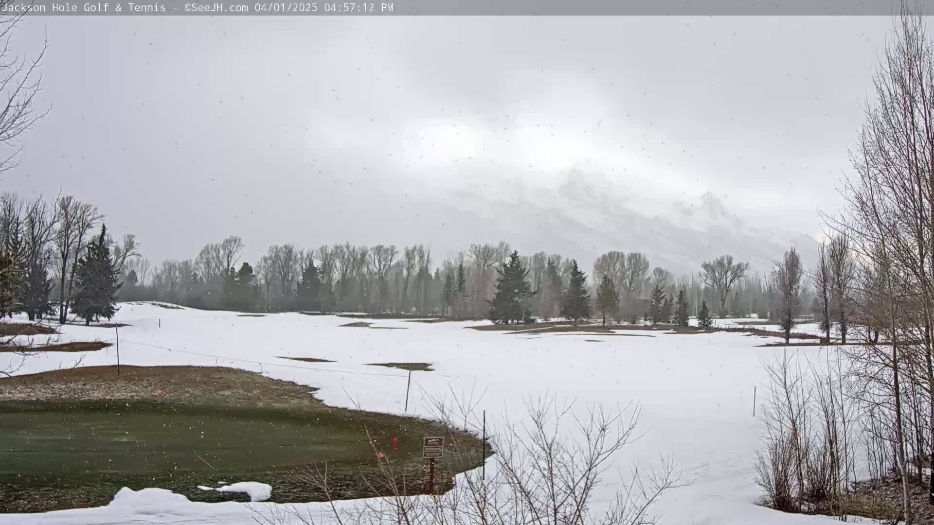A snow-covered golf course with leafless trees and a mountainous background under a lightly snowing, overcast sky.
