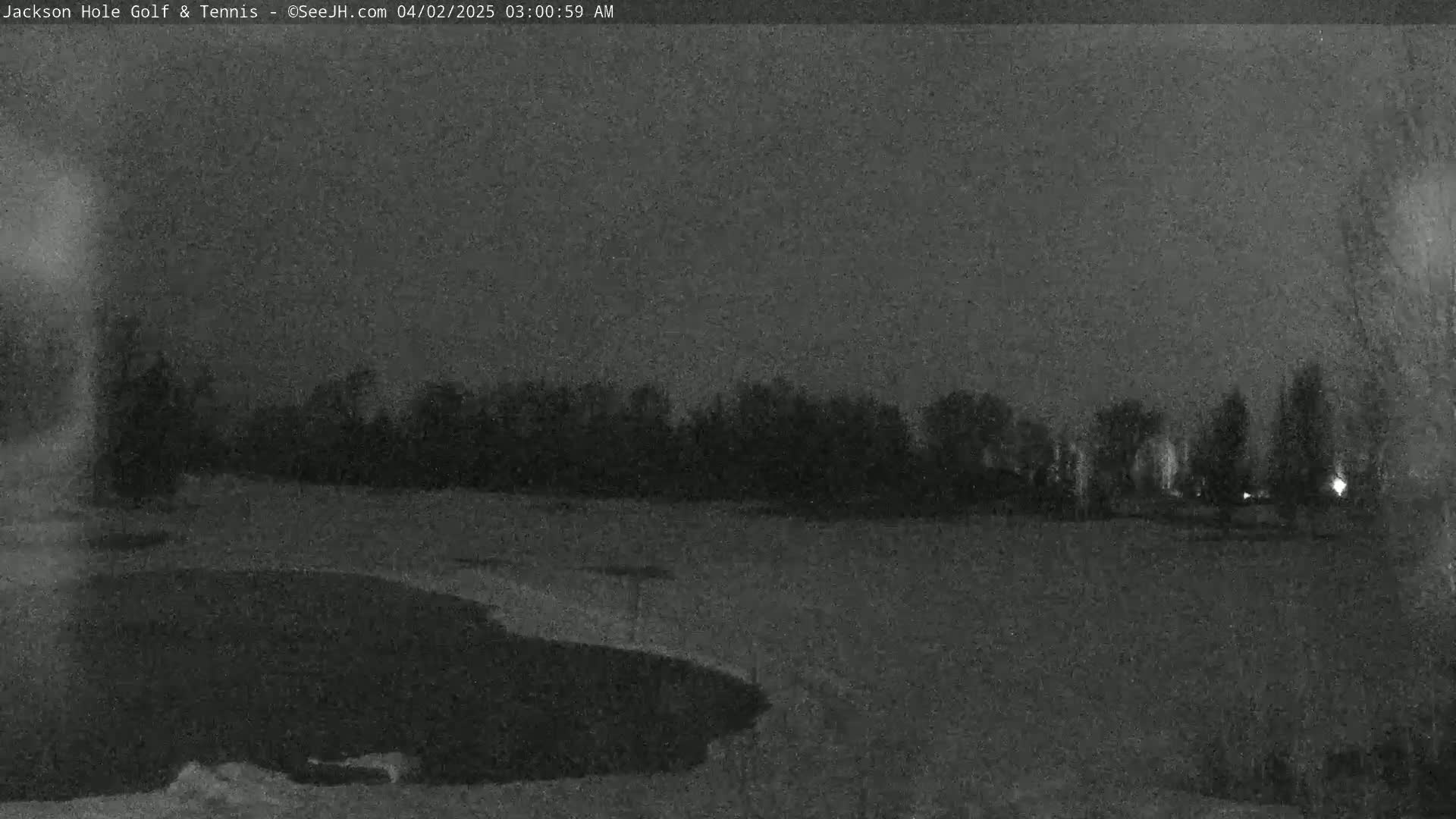 A nighttime, low-light view of a golf course with trees in the background under a dark sky.