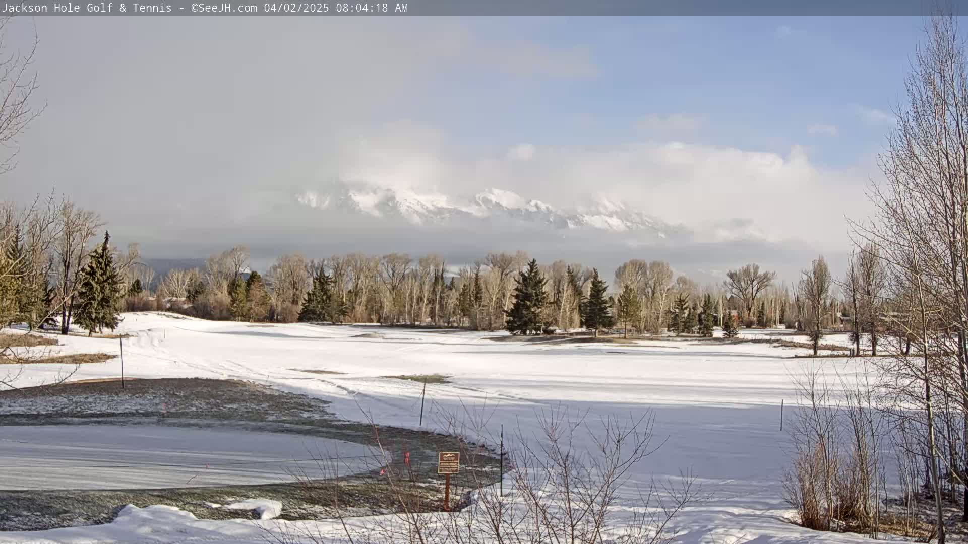 A snow-covered golf course with leafless trees and a mountain range partially obscured by clouds in the background.
