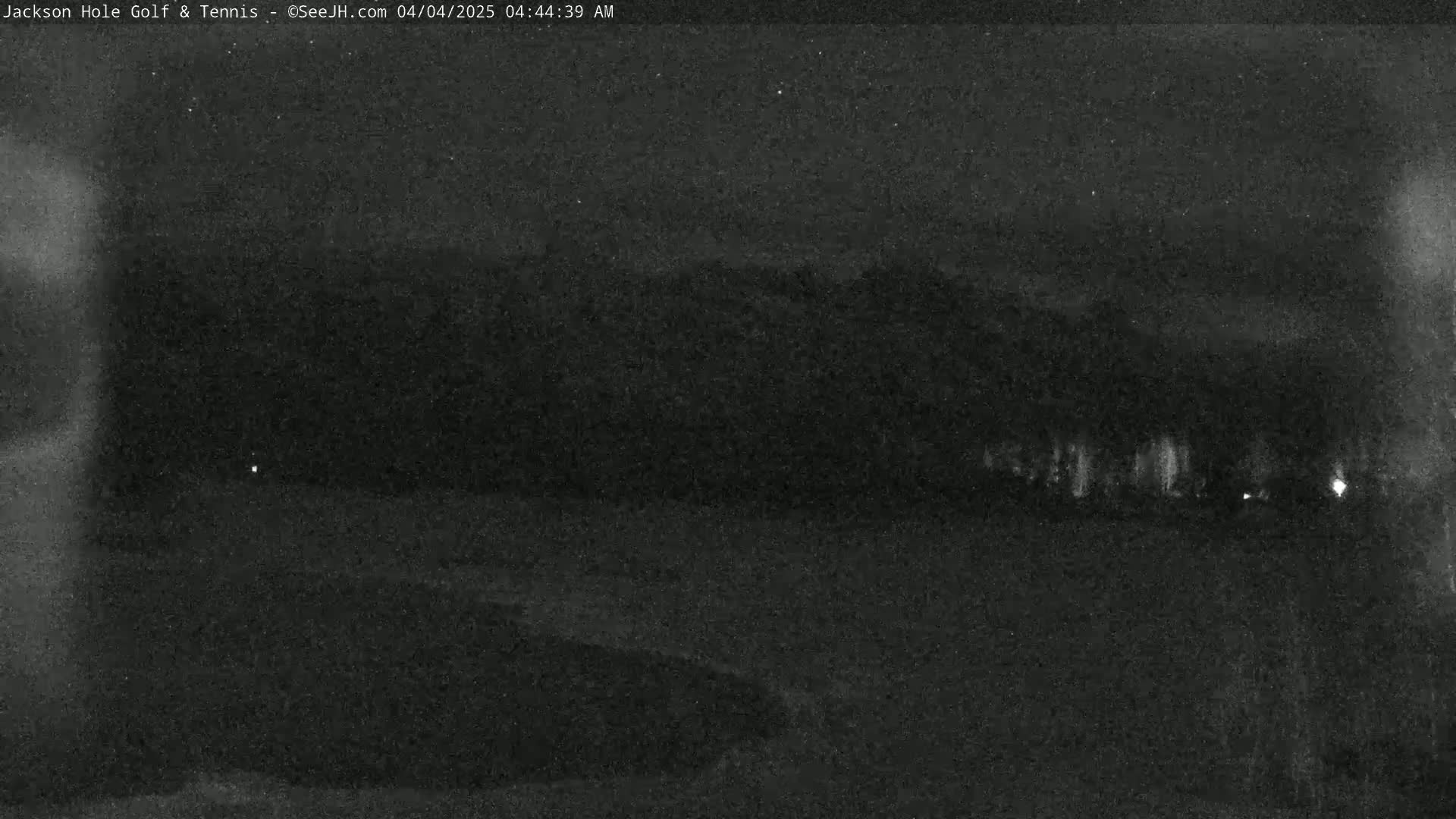 A nighttime, low-light image shows a dark landscape with a line of trees or tall shrubs in the distance.