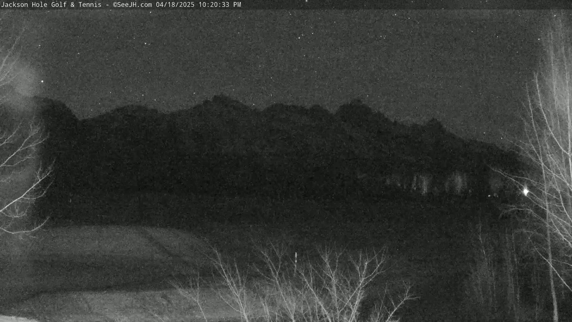 A nighttime view of a mountain range under a clear, starry sky, partially obscured by bare trees in the foreground.