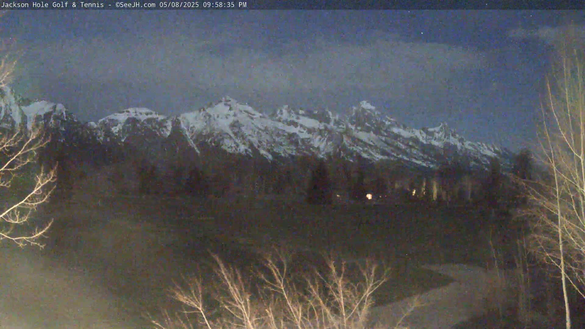 A snow-capped mountain range is visible at dusk, with bare trees in the foreground under a clear, dark sky.