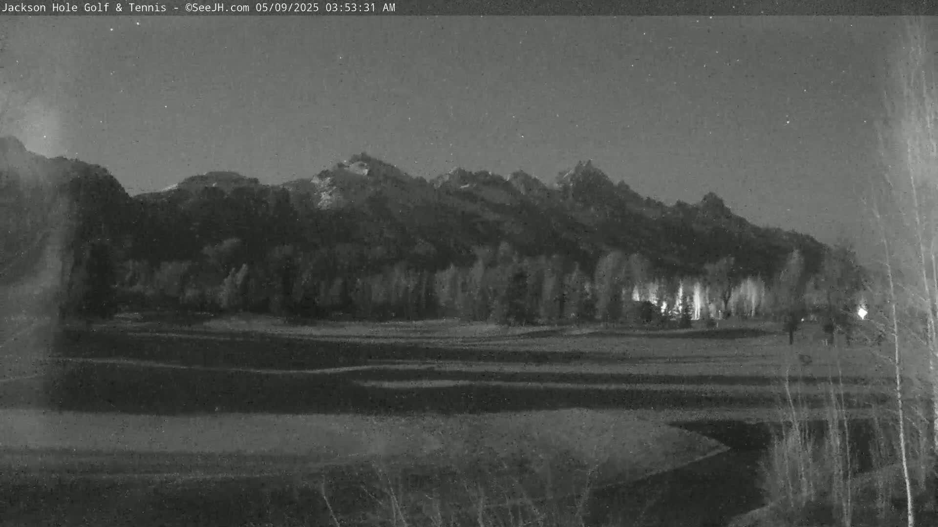 A nighttime view of snow-capped mountains behind a flat, grassy field with a line of trees and a few lights in the distance under a clear, starry sky.