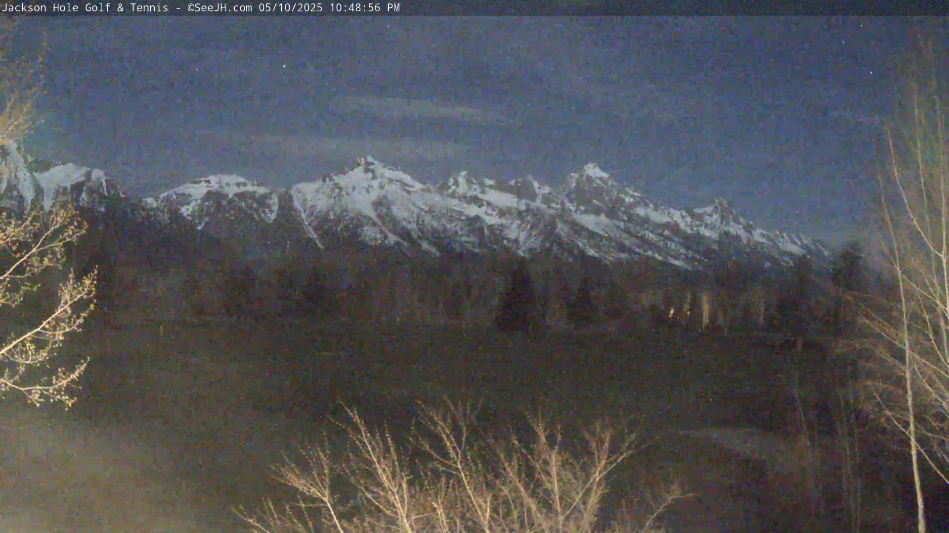 Snow-capped mountains are visible at dusk, under a dark blue, mostly clear sky, behind a foreground of bare, leafless trees.