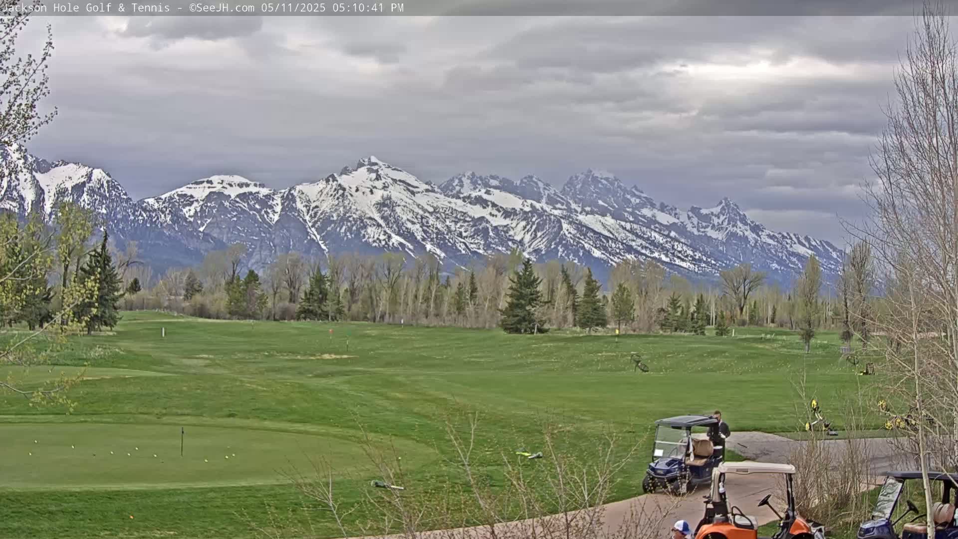A golf course with golf carts is situated in front of a snow-capped mountain range under a cloudy sky.