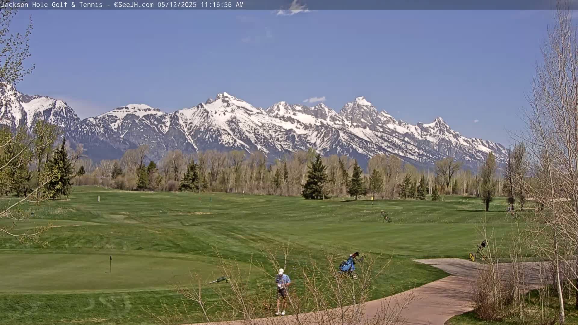 A golf course with a person walking, golf carts, and snow-capped mountains in the background on a clear, sunny day.