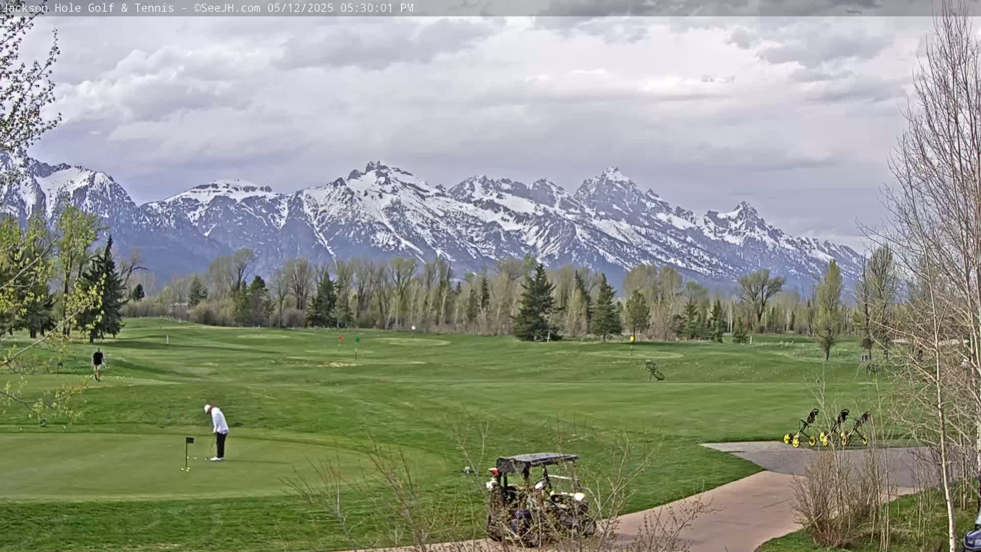 A golfer putts on a green overlooking a valley with snow-capped mountains under a partly cloudy sky.