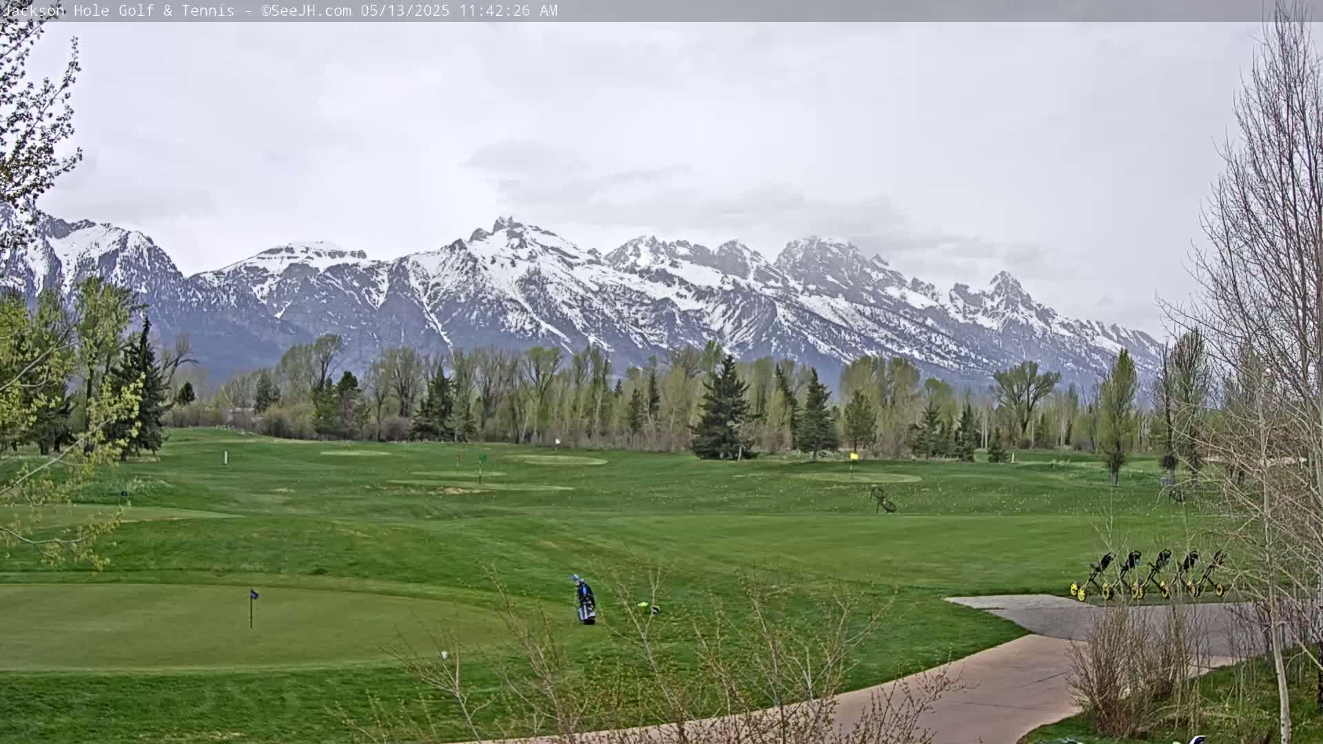 A golfer is seen on a lush green golf course, with snow-capped mountains in the background under an overcast sky.