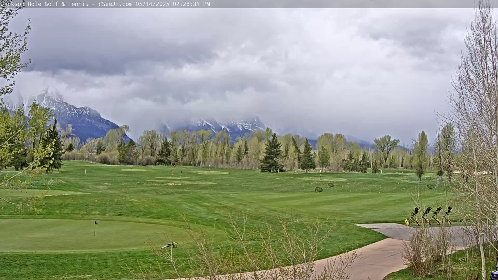 A green golf course with snow-capped mountains in the background under a cloudy sky.