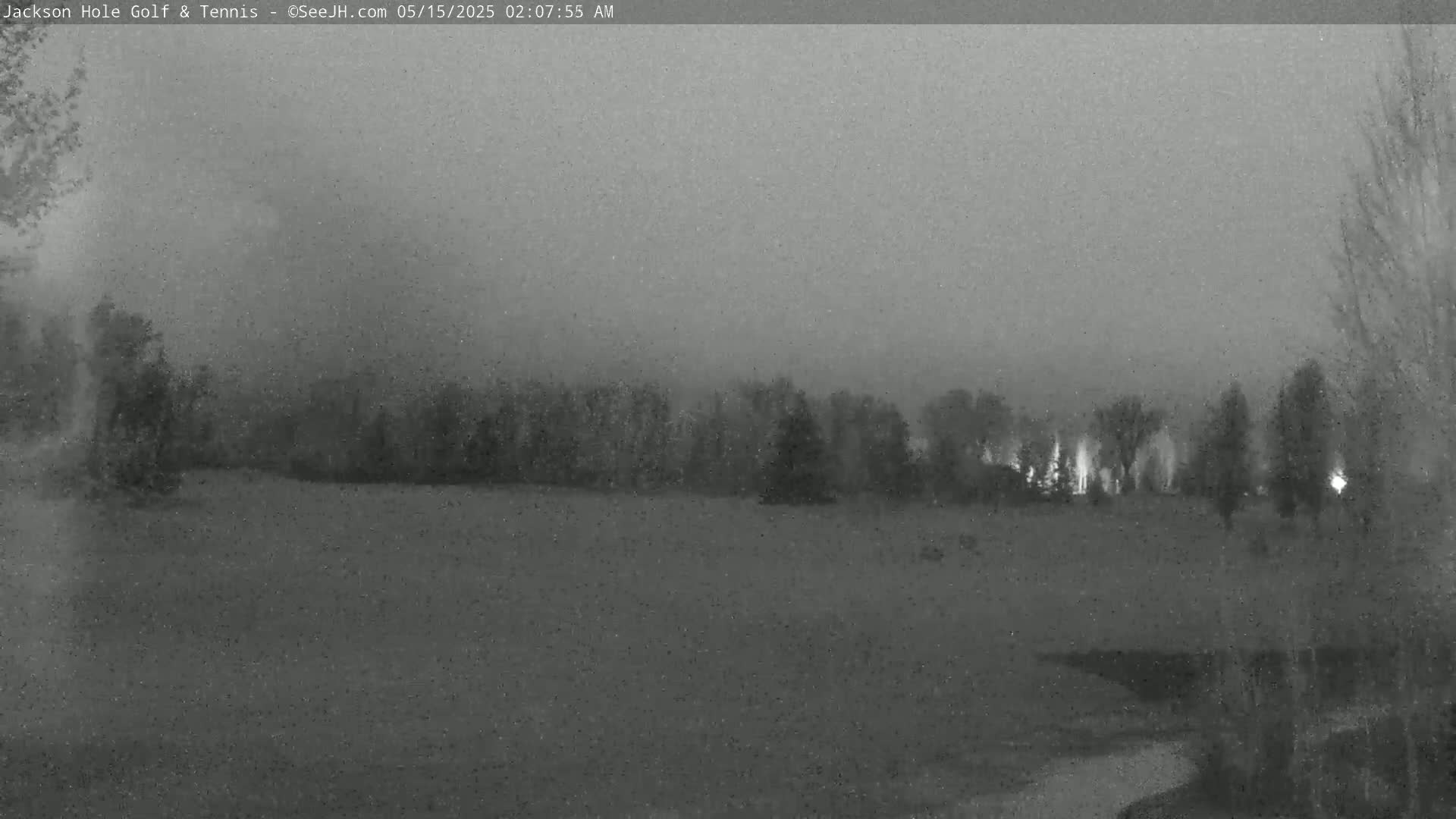A snow-covered field is visible under a hazy, dark sky, with a line of trees in the background.