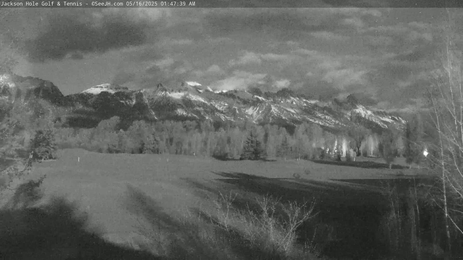 A snow-capped mountain range is visible in the distance behind a flat, grassy field under a cloudy night sky.
