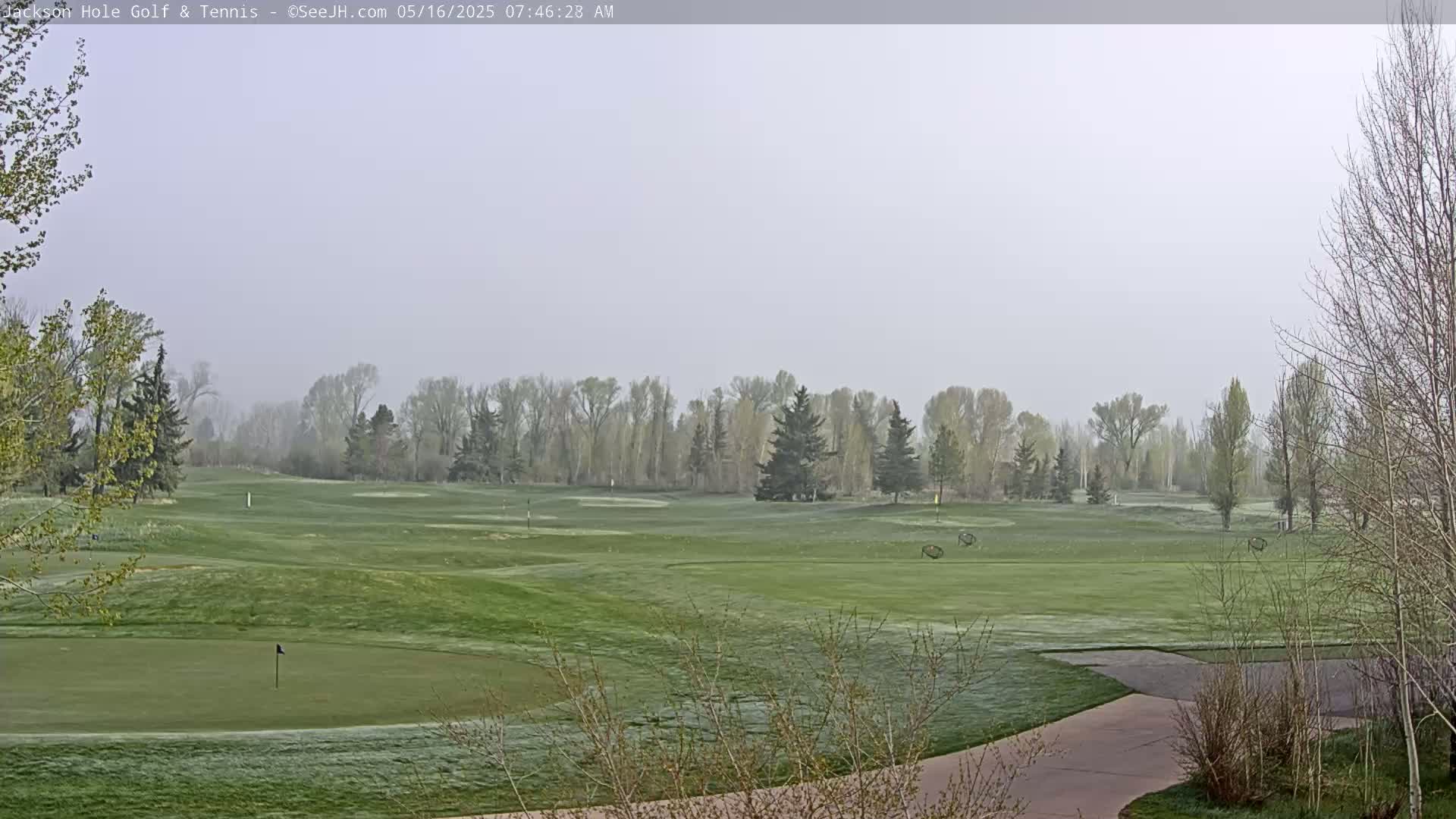 A misty golf course with green fairways, trees, and a paved path is visible.