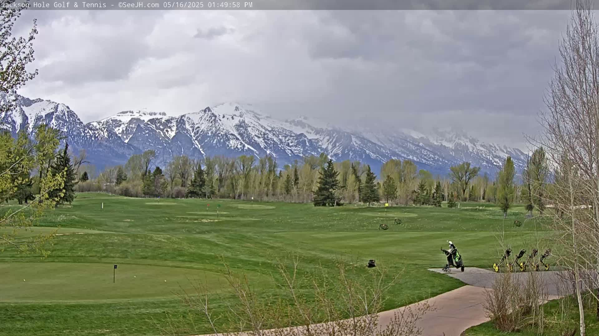A golfer on a cart is seen on a green golf course with snow-capped mountains in the background under an overcast sky.