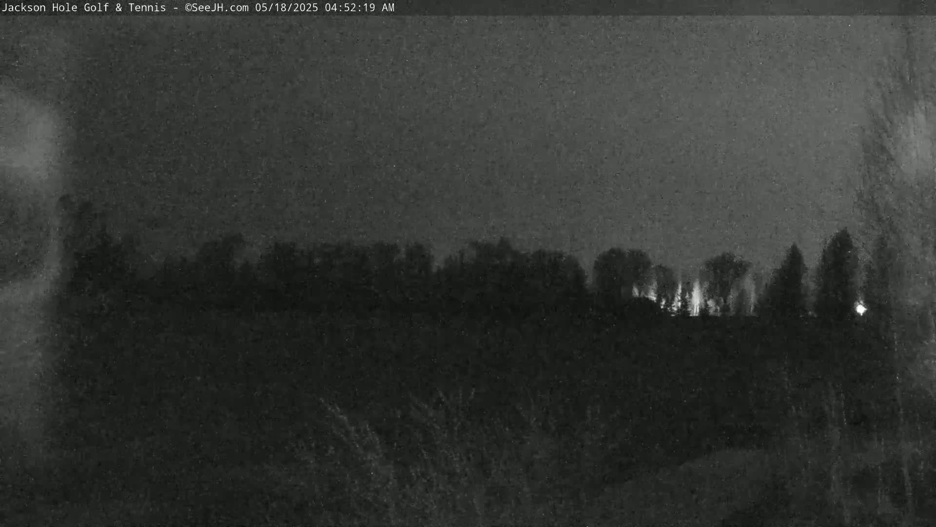 A nighttime, low-light view of a dark line of trees under a dark, overcast sky.