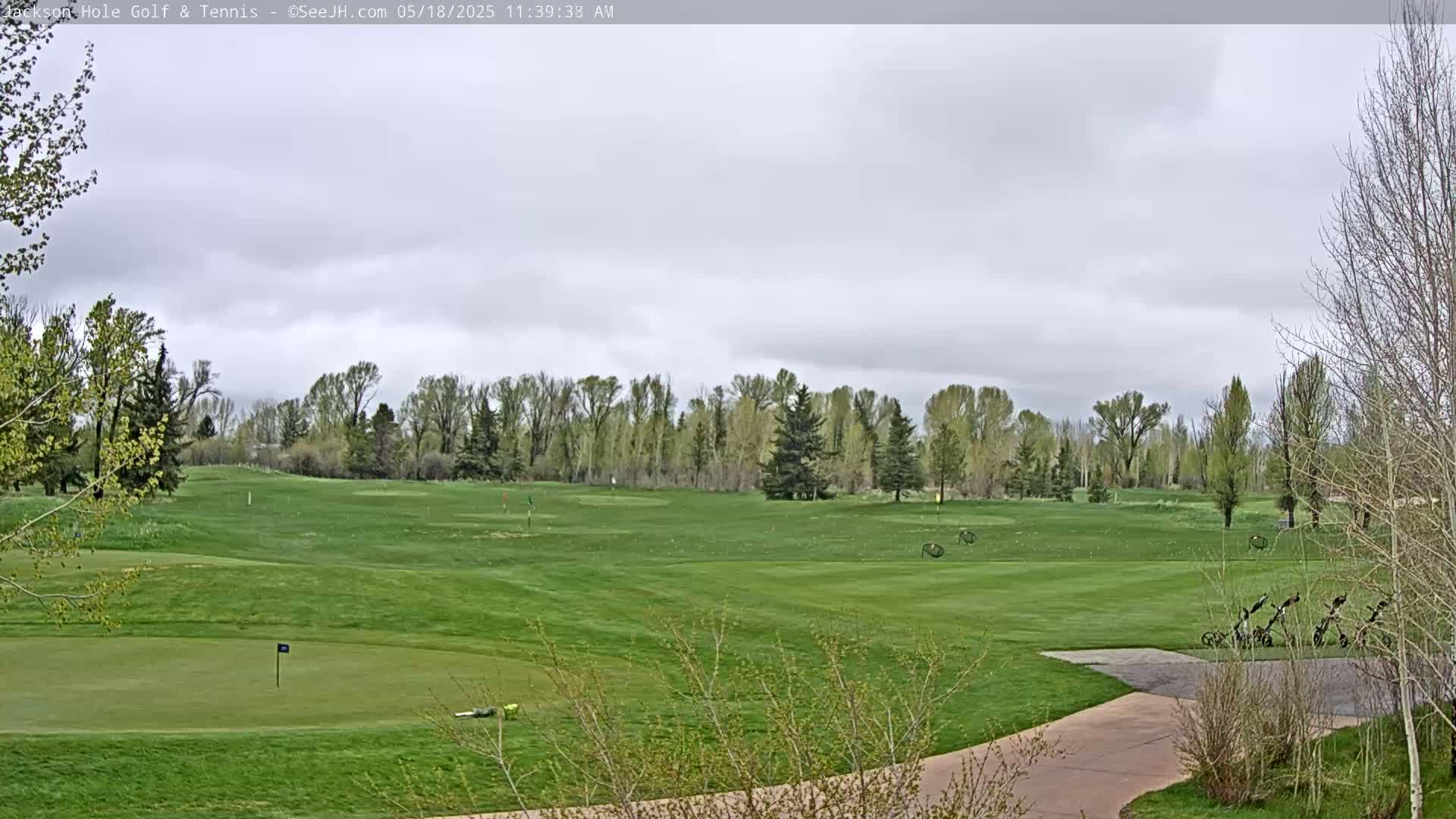 A mostly sunny, overcast day on a lush green golf course, bordered by a line of trees.