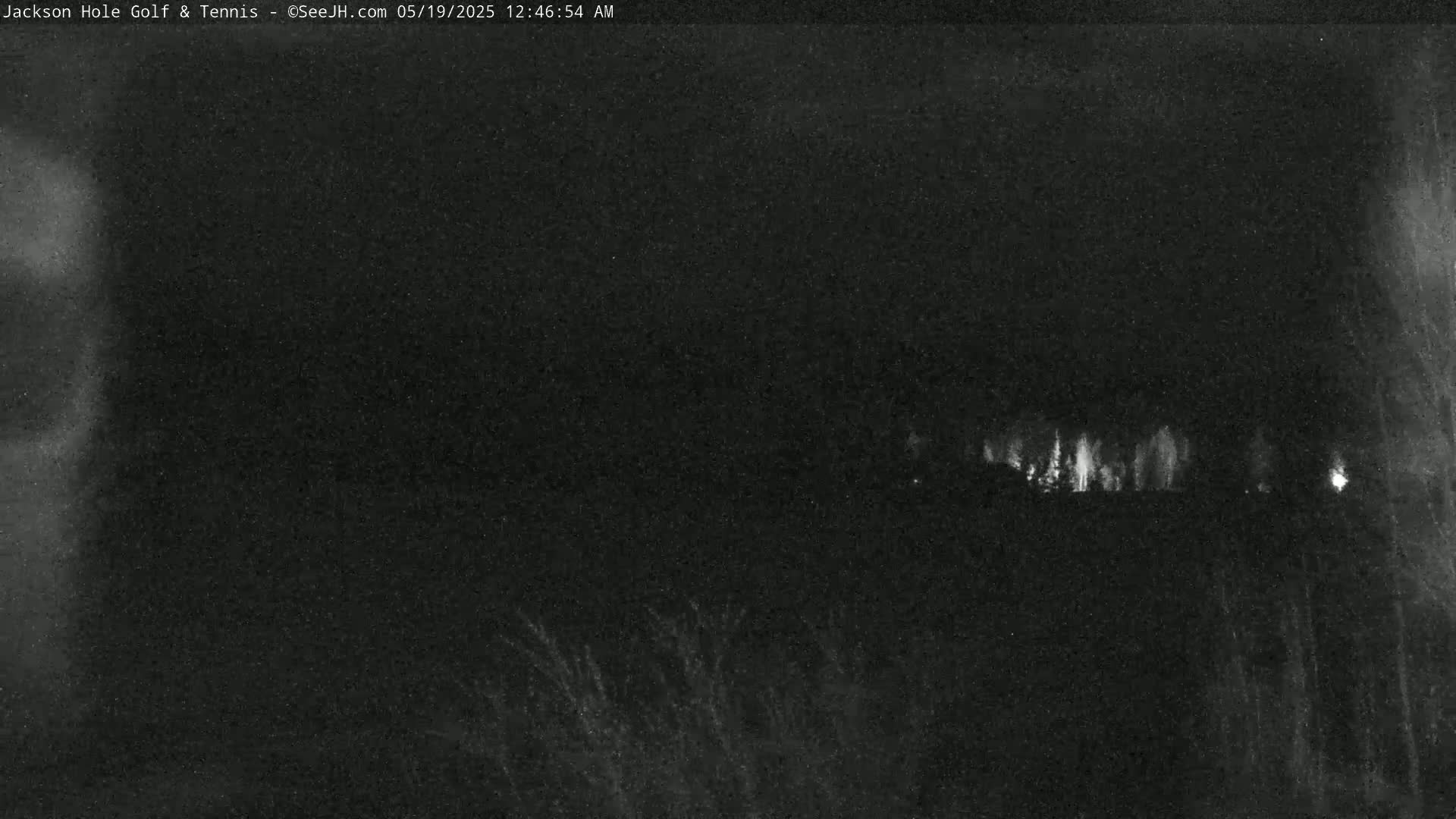 A nighttime, low-light image shows a line of dimly lit trees or structures in the distance.