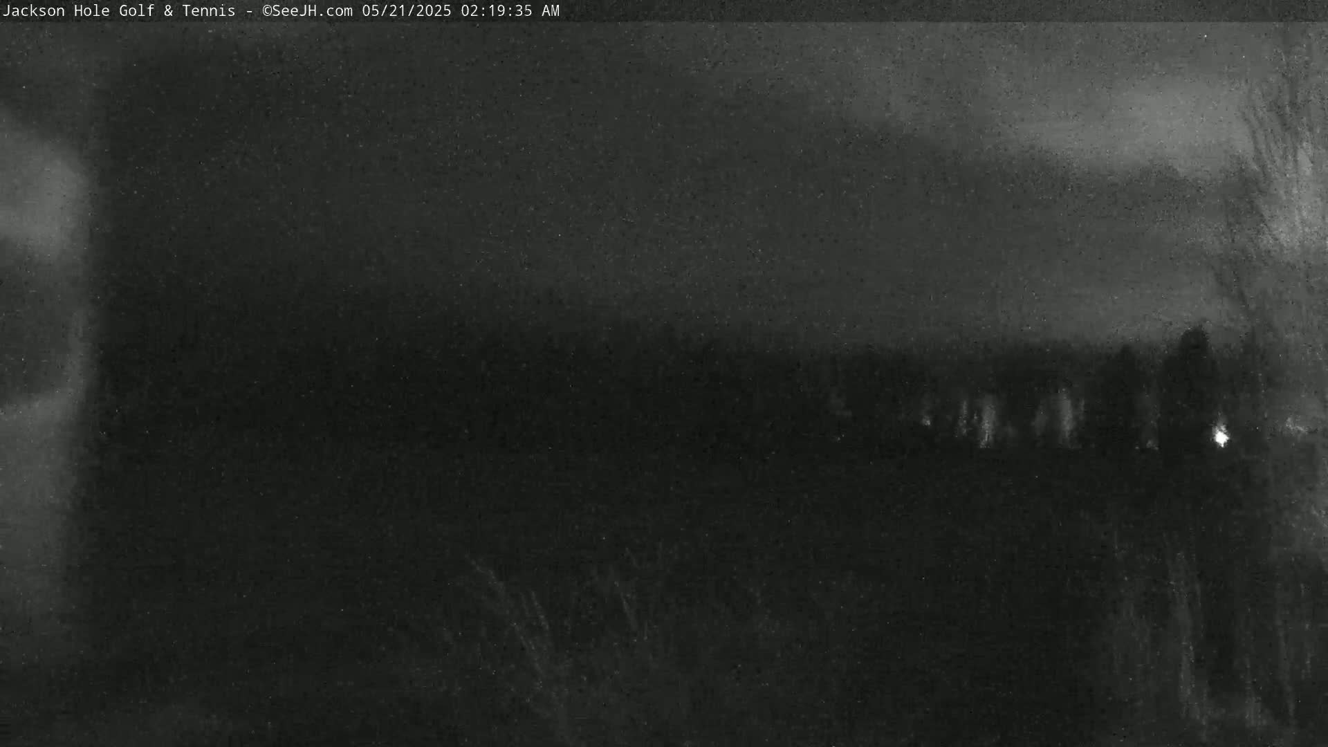 A nighttime, low-light image shows a dark landscape with a line of trees or shrubs in the distance under a cloudy sky.