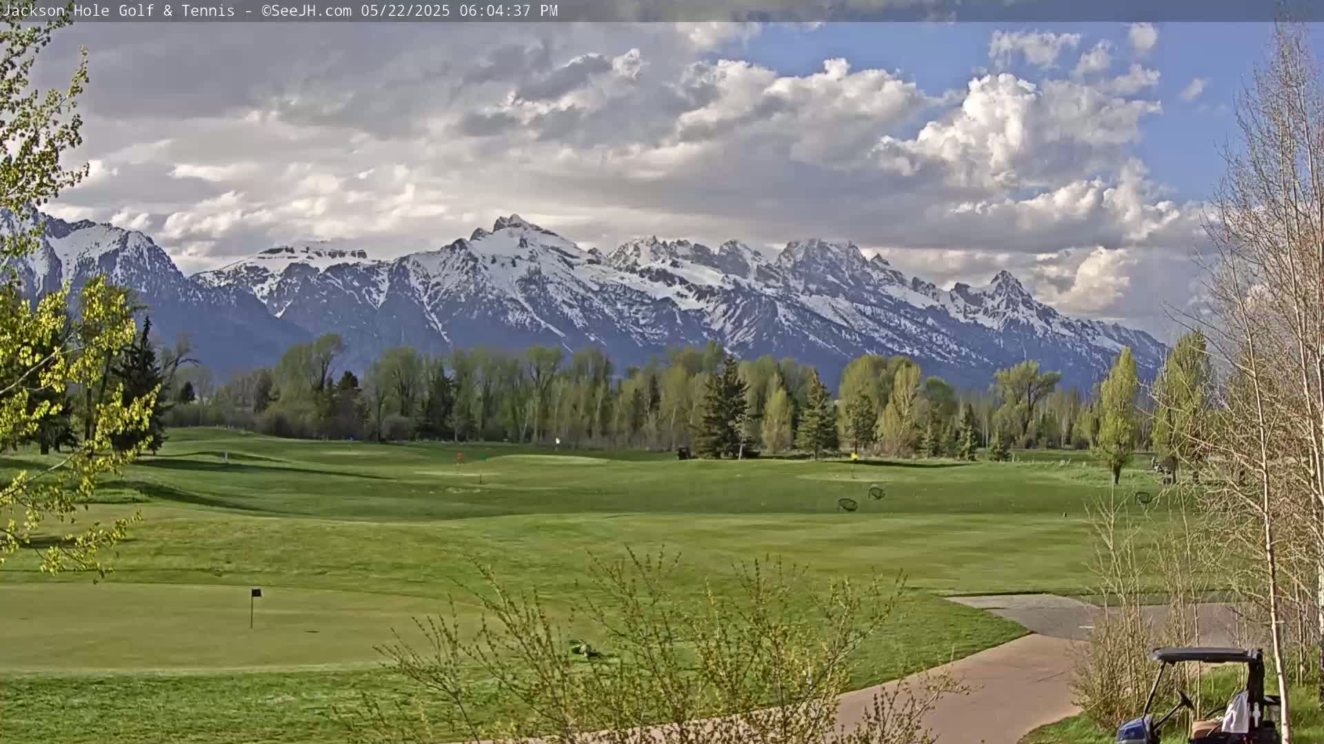 A partly cloudy afternoon scene shows a golf course with green fairways, bordered by trees and shrubs, with snow-capped mountains in the background.