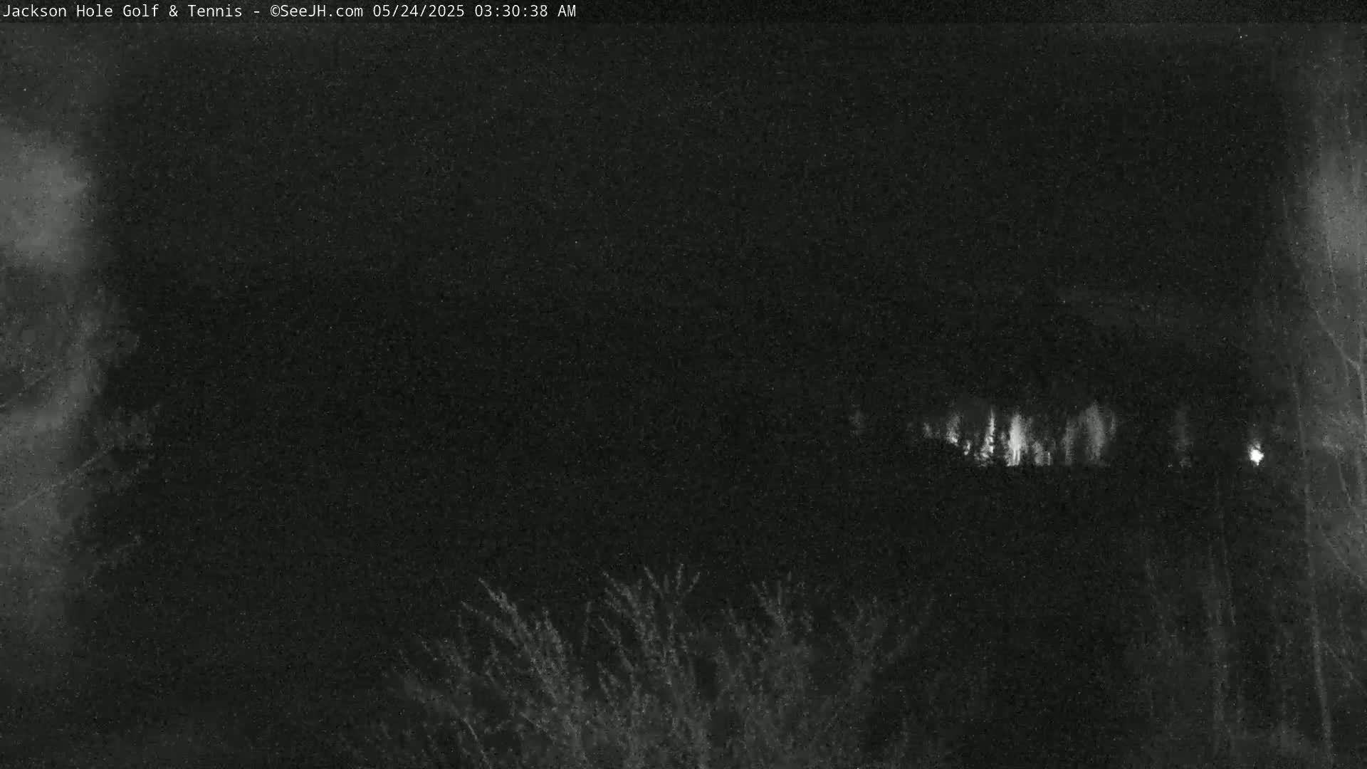 A nighttime, low-light image shows a dark landscape with faintly illuminated trees or shrubs in the distance.