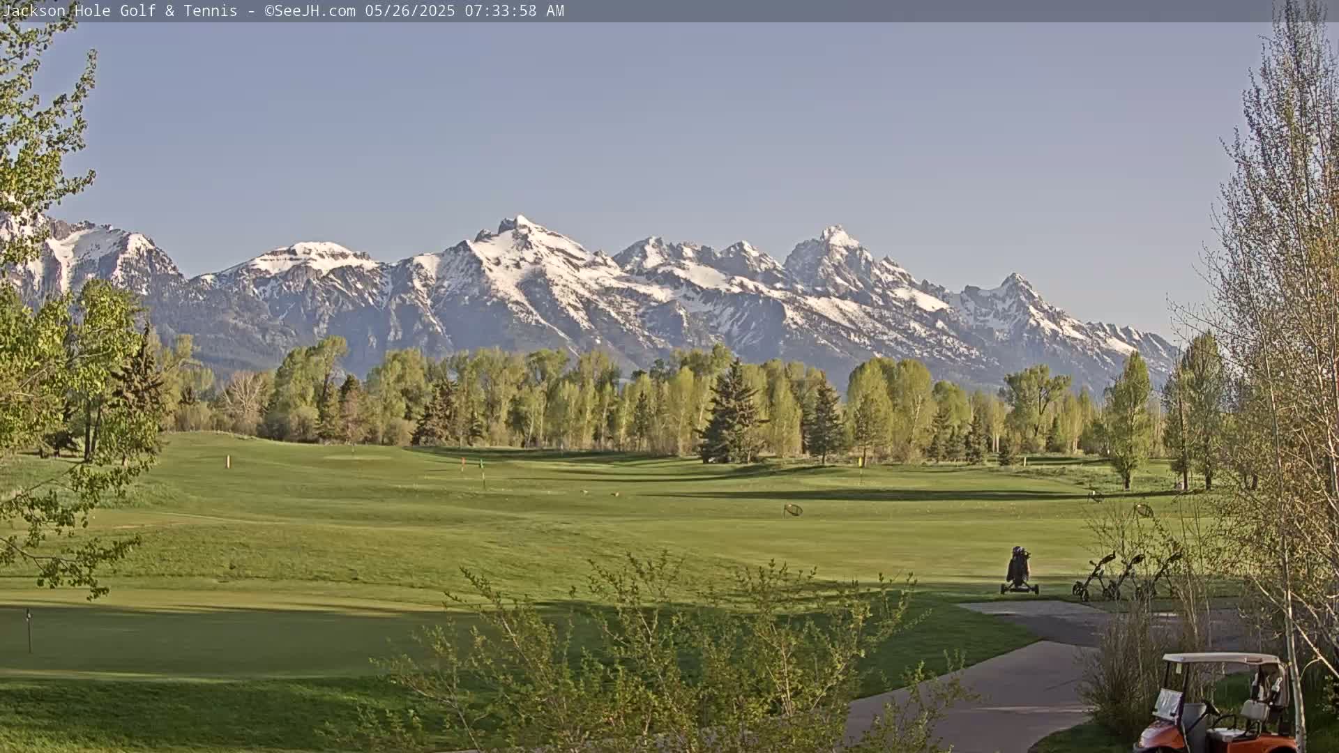 A golf course with a few golf carts and bags sits in front of a line of trees, with snow-capped mountains in the background under a clear sky.