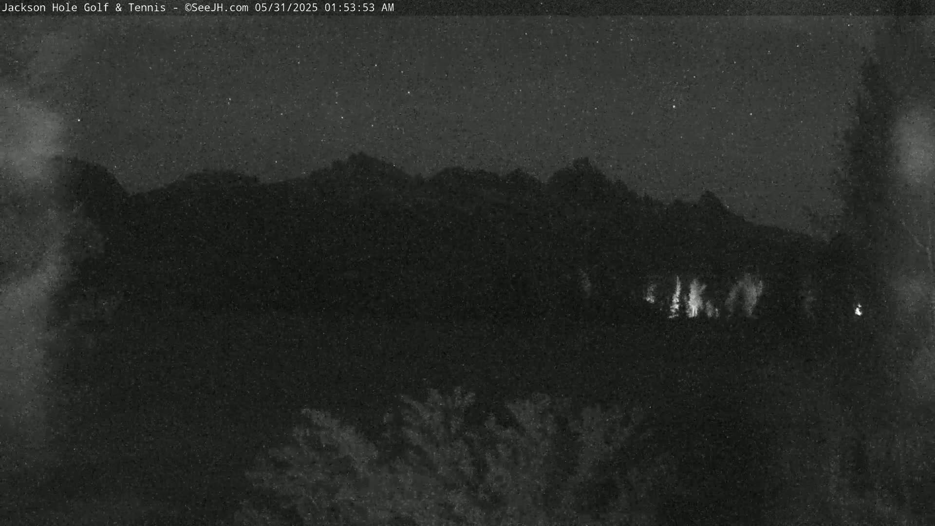 A nighttime, low-light image shows a dark mountain range under a starry sky with some vegetation in the foreground.