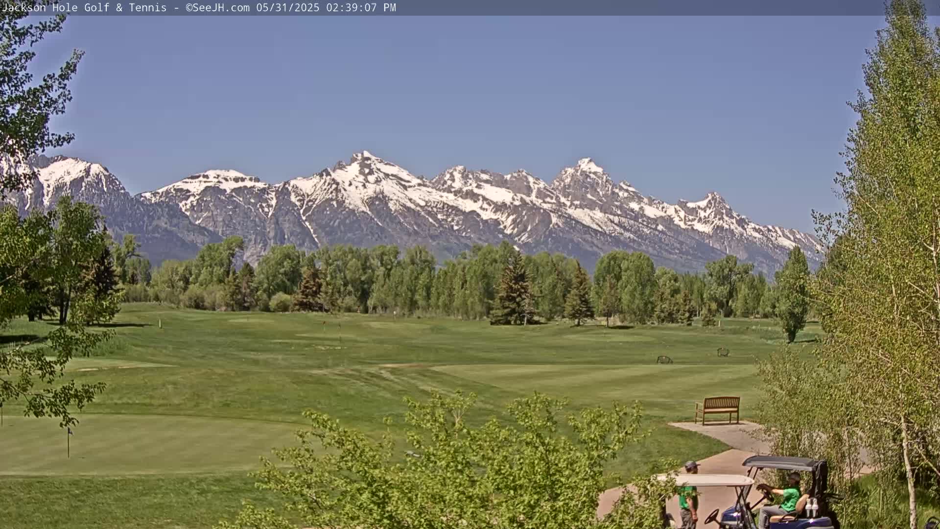 A golf course with green fairways and trees in the foreground, backed by snow-capped mountains under a clear blue sky.
