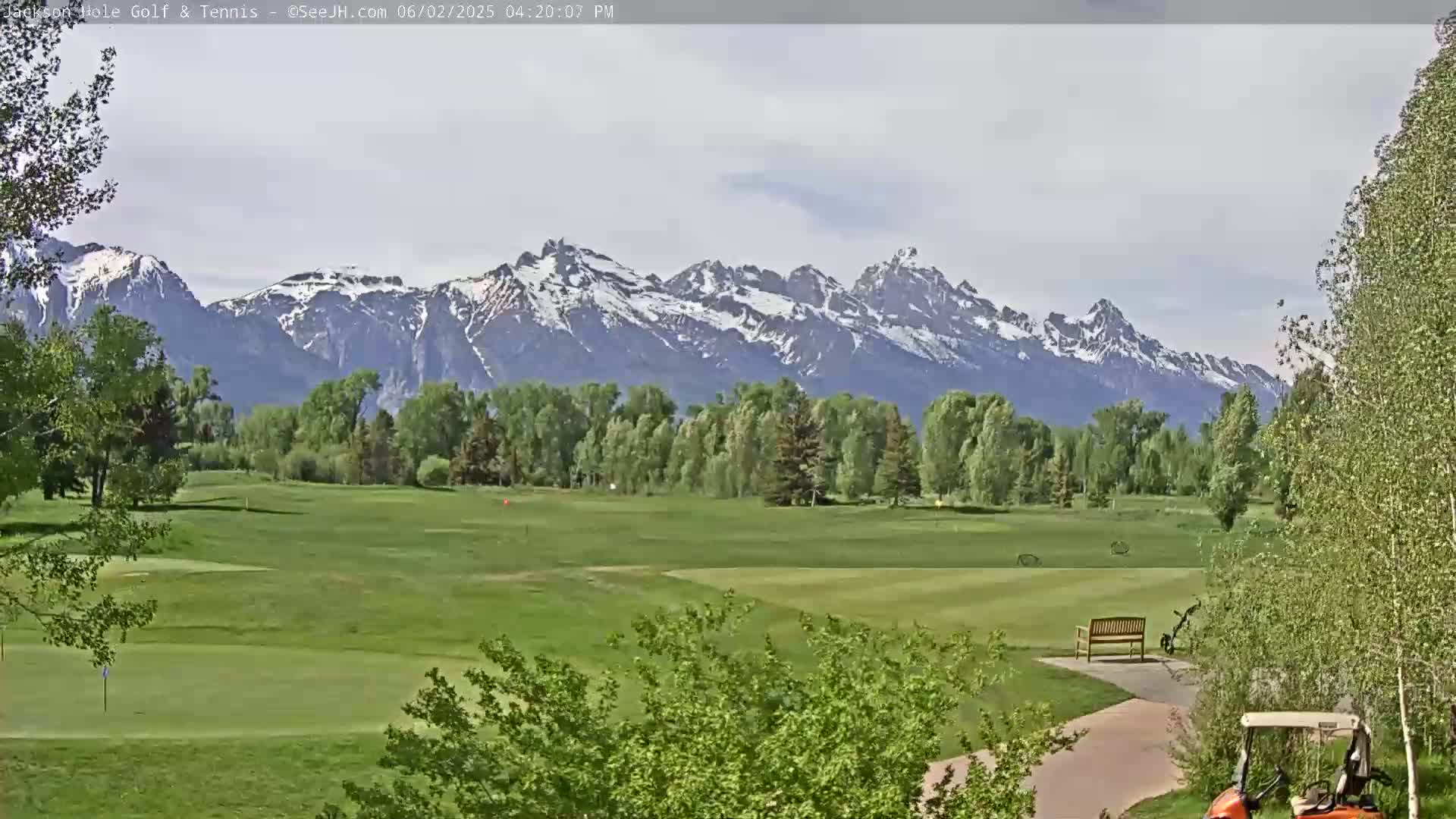 A golf course with a park bench and golf cart is situated in front of a line of trees, with snow-capped mountains in the background under partly cloudy skies.