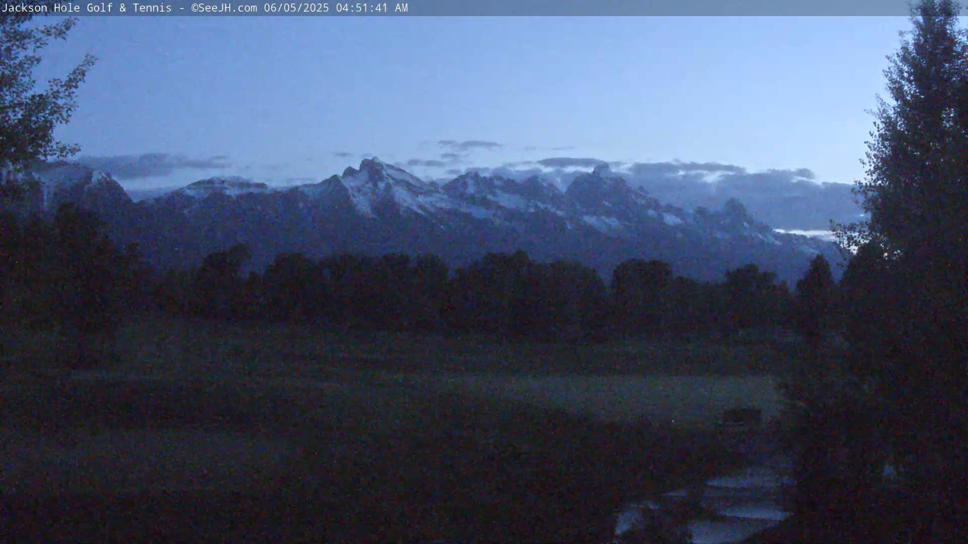 Snow-capped mountains are visible in the distance at dawn, partially obscured by a low cloud cover, beyond a dark field and silhouetted trees.