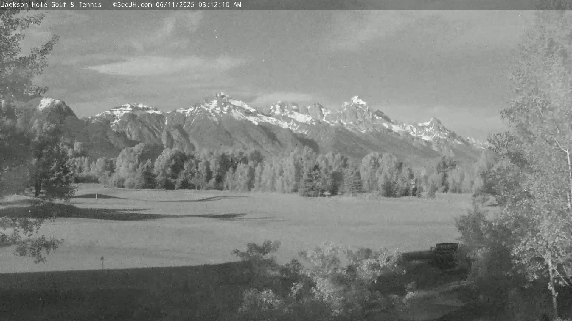 A grayscale image shows a golf course with trees in the foreground and snow-capped mountains in the background under a partly cloudy sky.