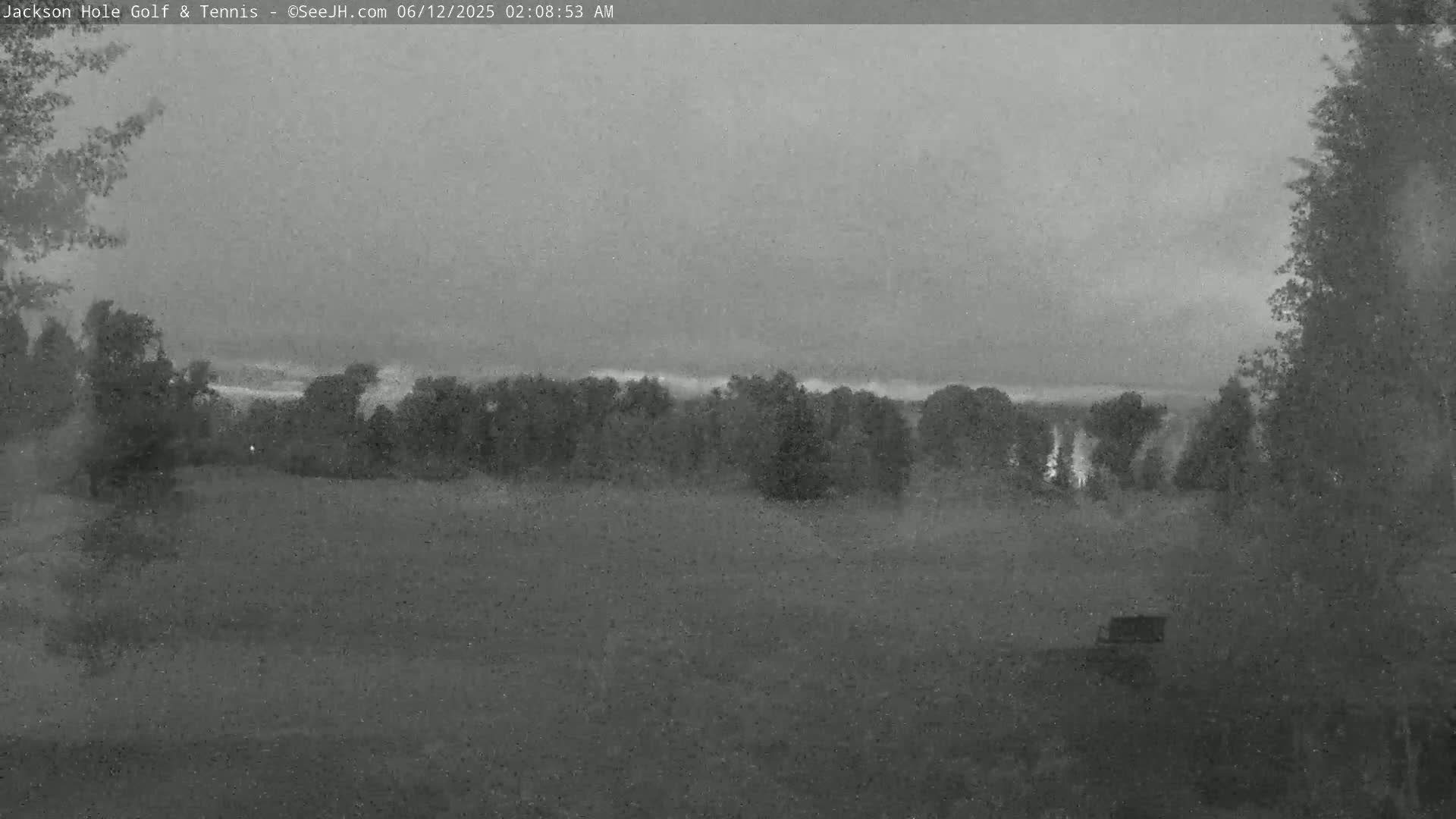 A dark, overcast scene shows a flat expanse of land with trees in the mid-ground and a few trees on either side of the frame, under a gray sky.