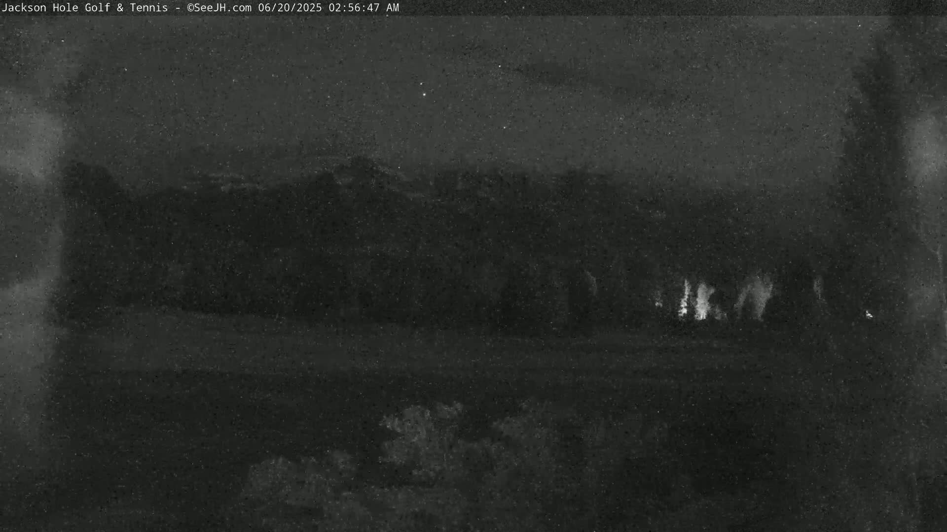 A nighttime, low-light view of a landscape featuring dark trees and distant mountains under a clear, starry sky.