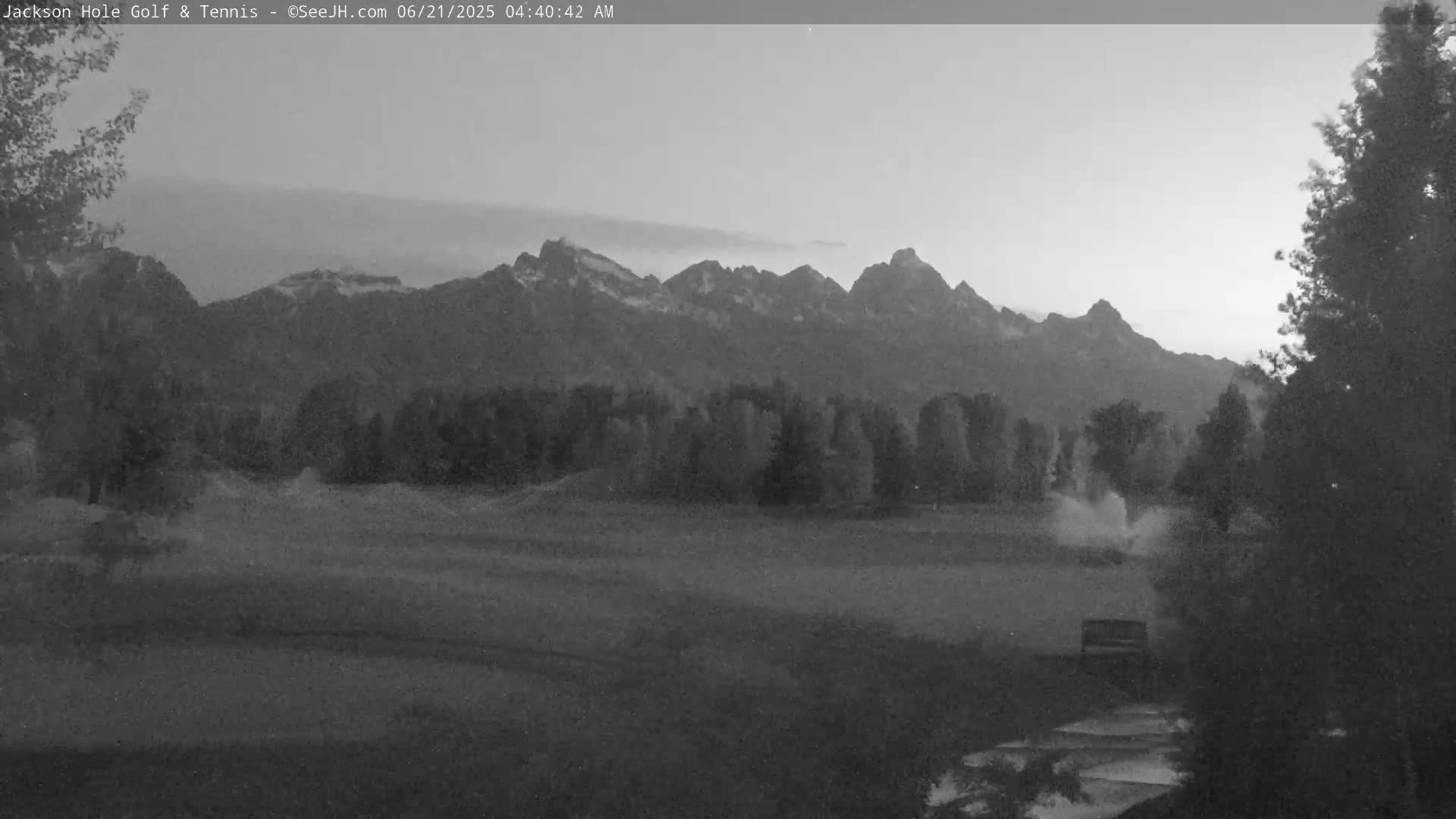 A grayscale image shows a grassy field with trees and a mountain range in the background under a hazy, overcast sky.