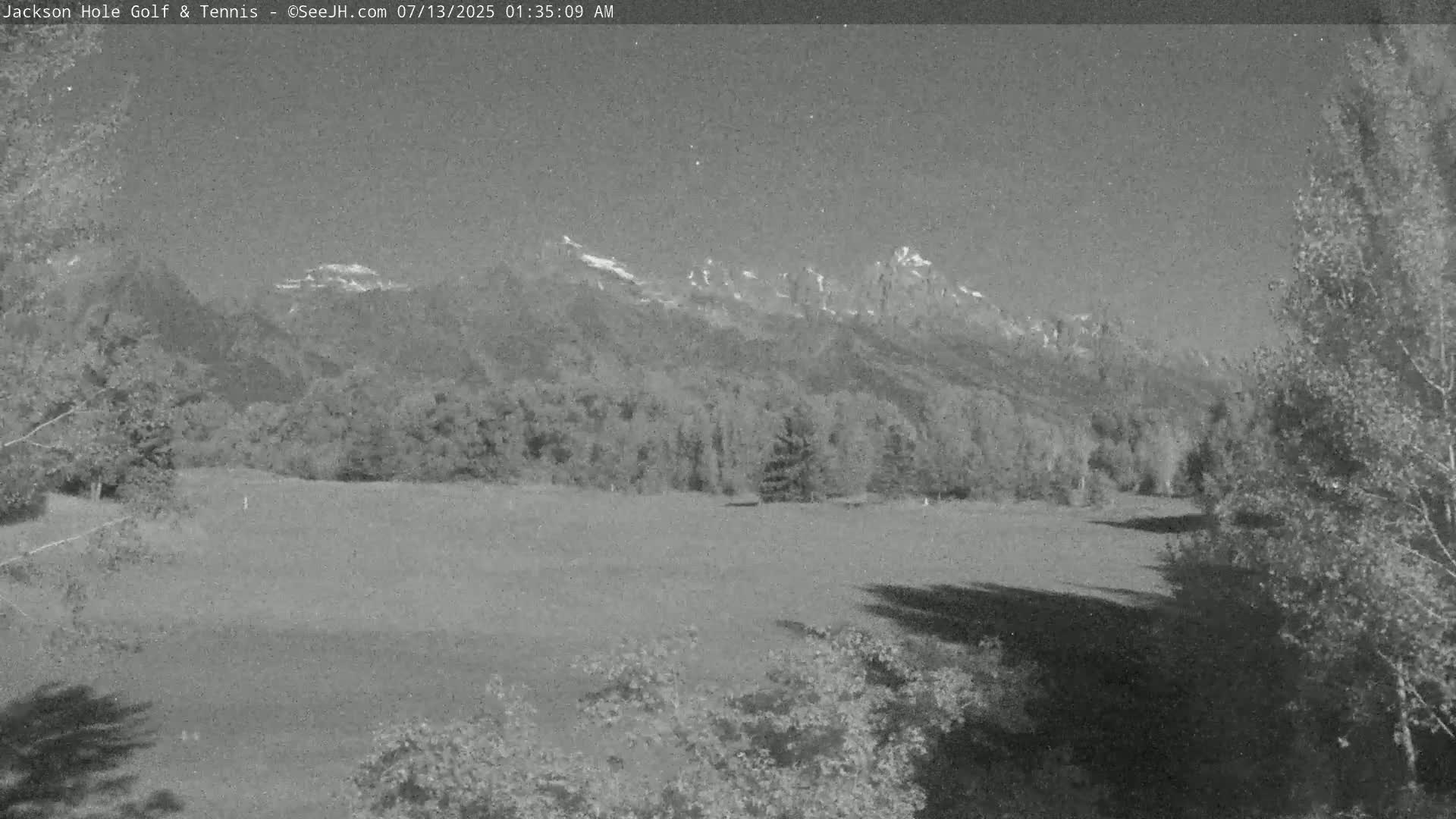 A grayscale image shows a grassy field, trees, and snow-capped mountains in the background under a clear sky.