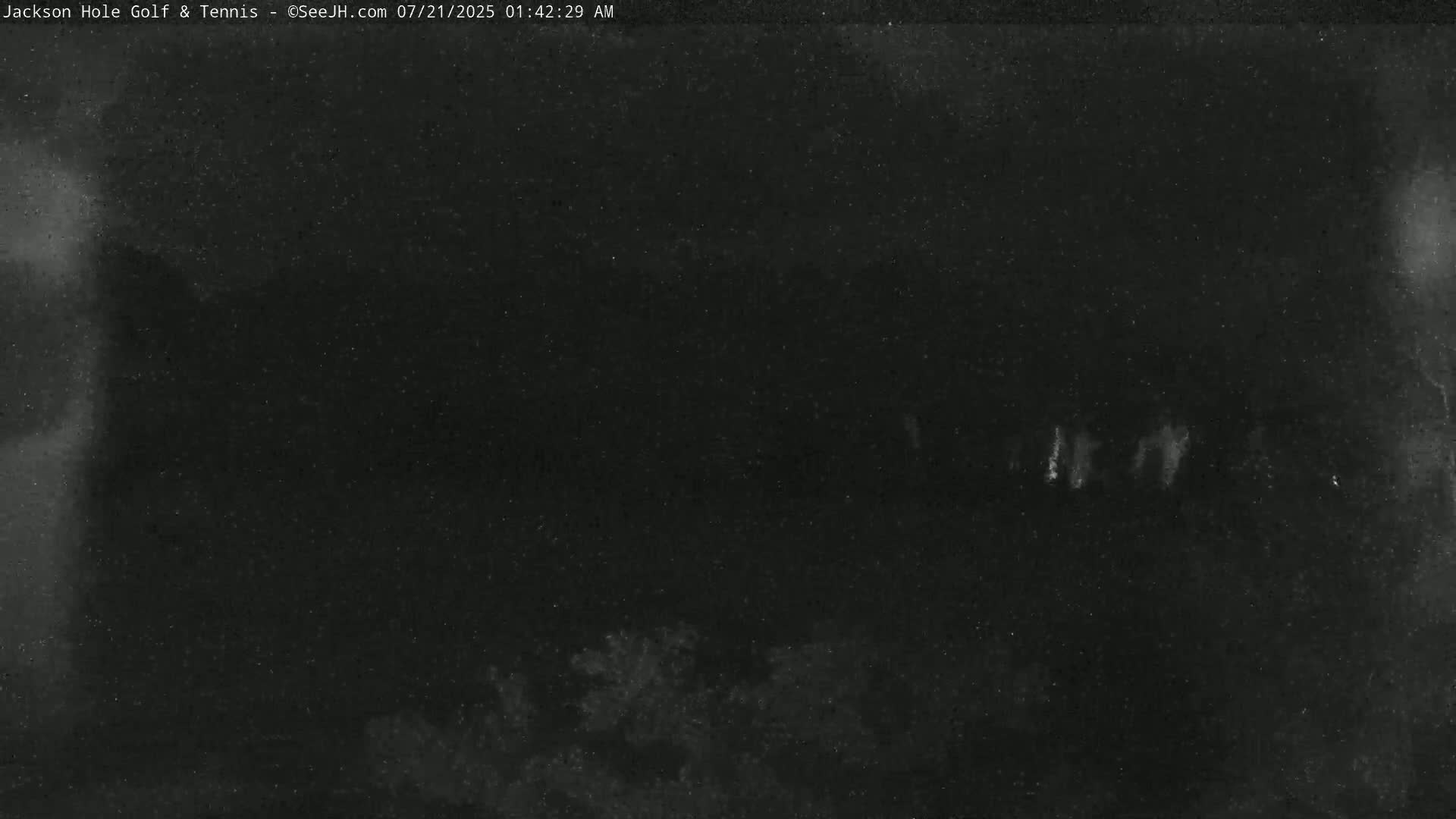A nighttime, low-light image shows a dark sky with indistinct shapes that may be trees at the bottom of the frame and faint light sources or possible lightning in the distance.