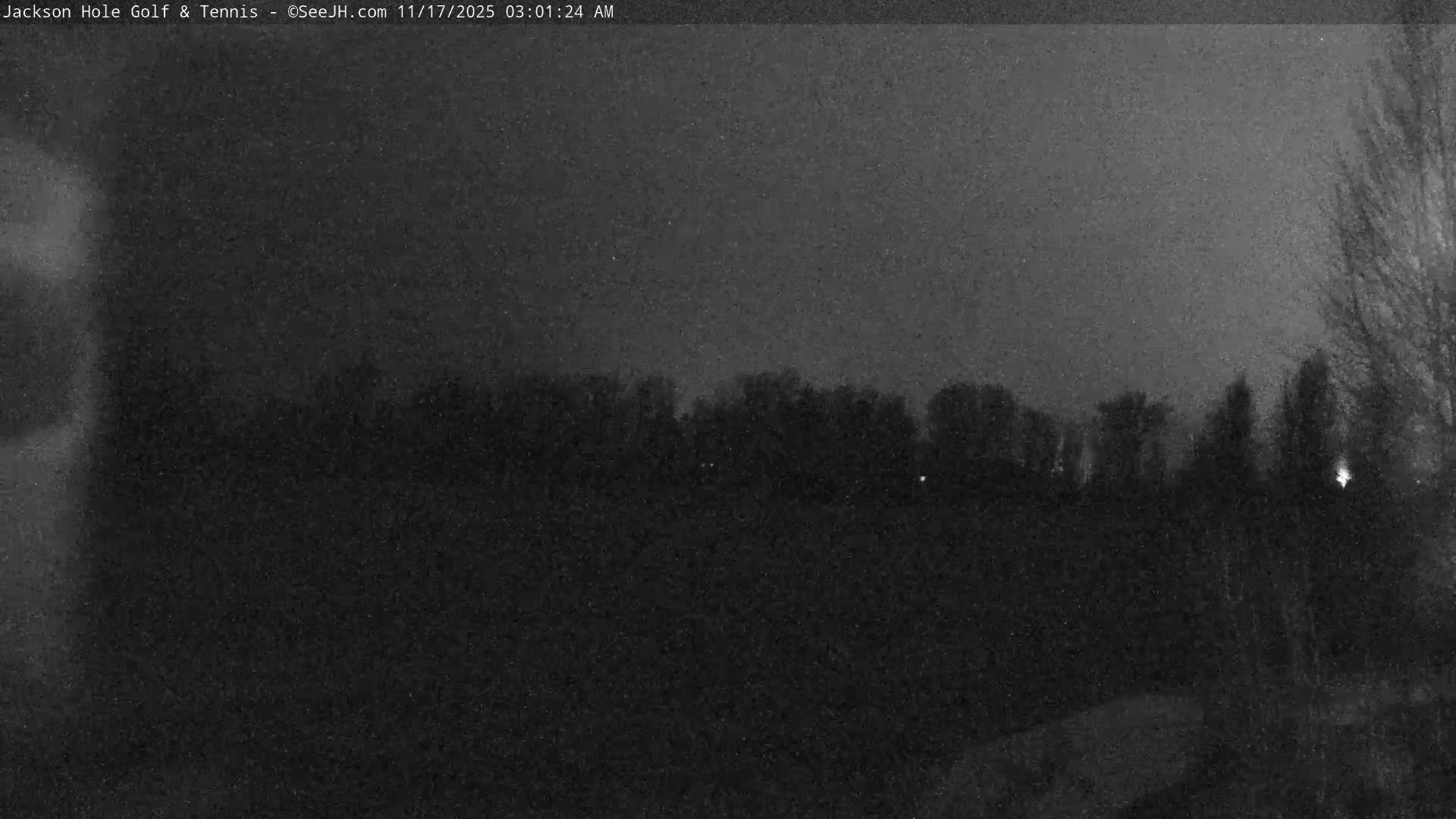 A dark and grainy outdoor scene at night shows a distant tree line beneath a heavily clouded sky, with a few faint lights scattered in the gloom.