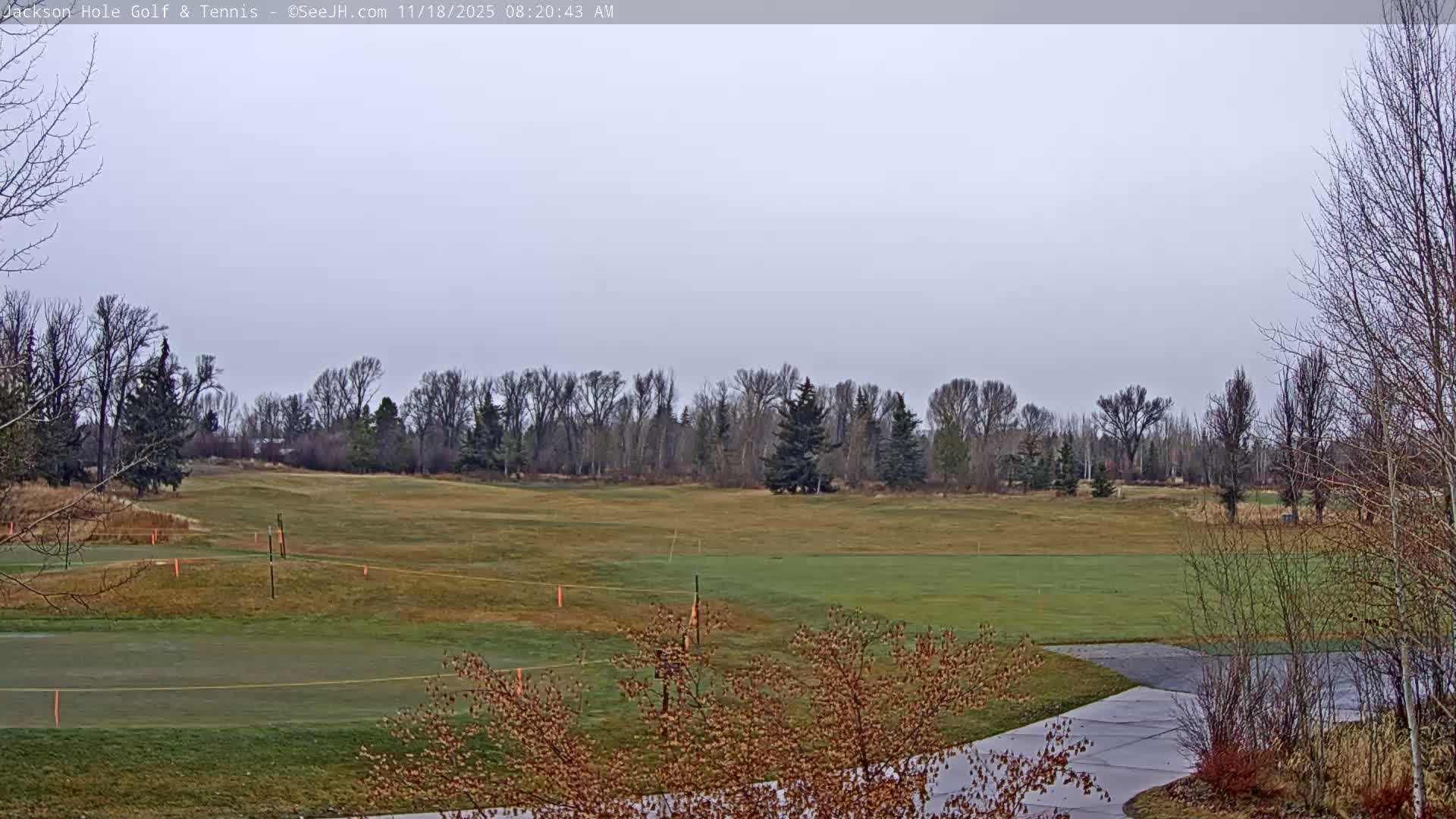 A dark and grainy outdoor scene at night shows a distant tree line beneath a heavily clouded sky, with a few faint lights scattered in the gloom.