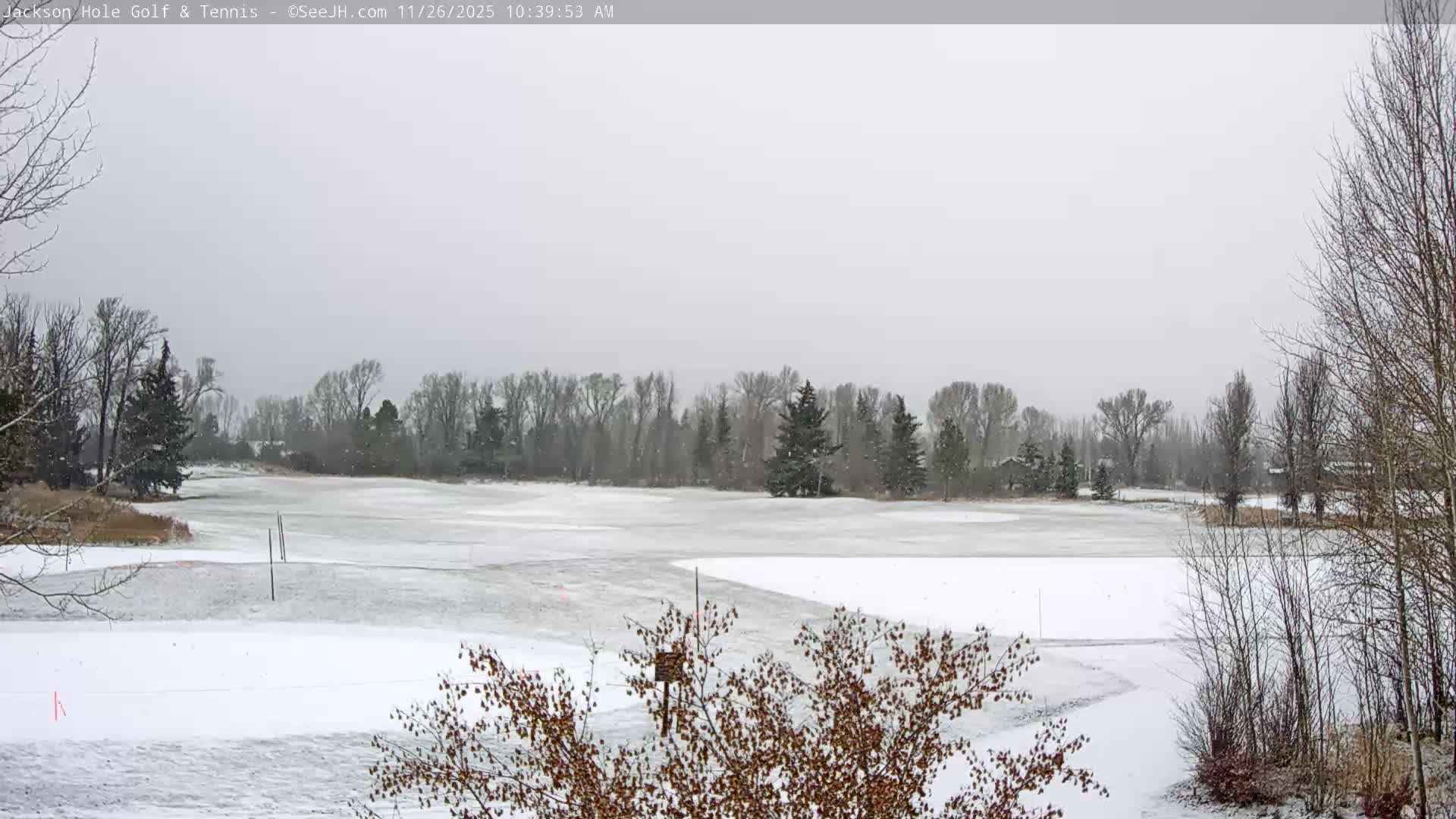 Jackson Hole Golf & Tennis Club Live Cam - Jackson, Teton, Wyoming, USA