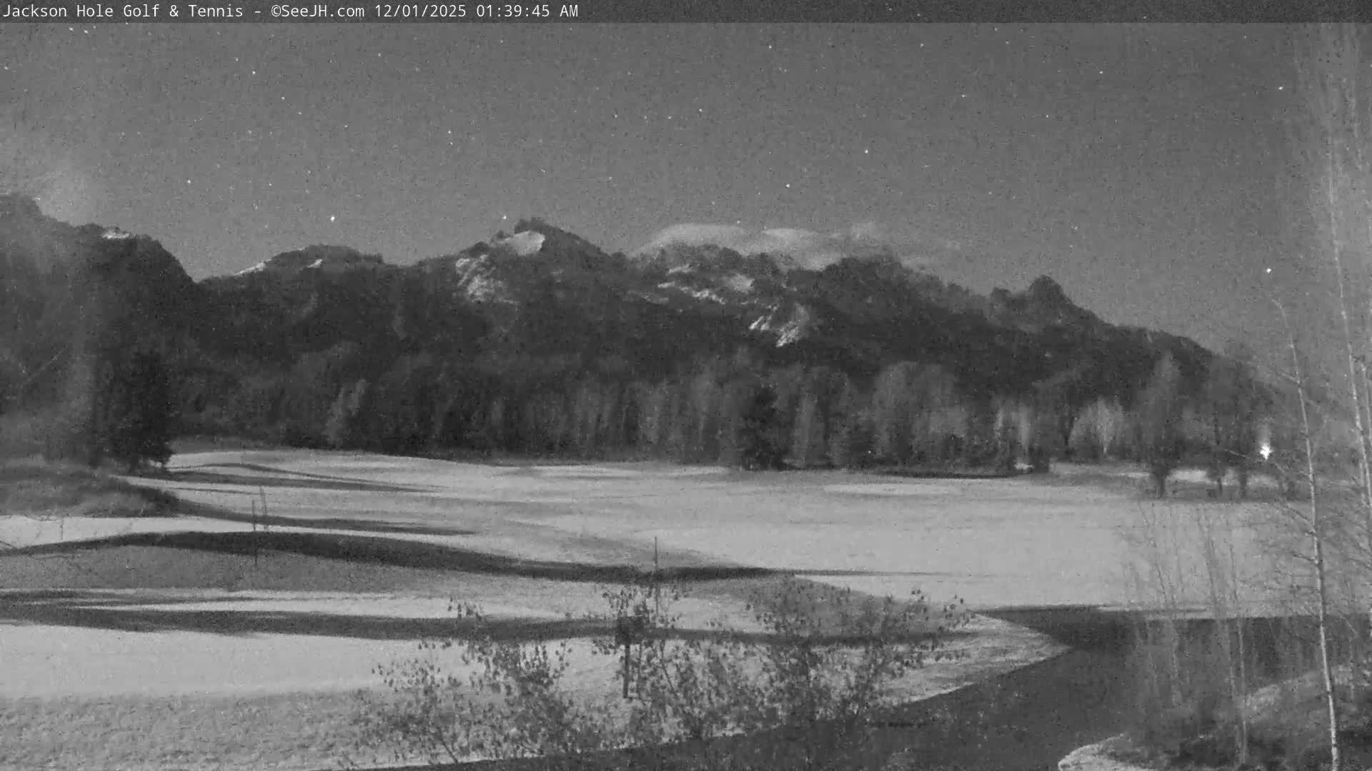 On a clear and cold winter night, a snow-covered landscape with gentle undulations and scattered trees leads to prominent snow-capped mountains under a star-filled sky, with a hint of artificial light visible on the far right.