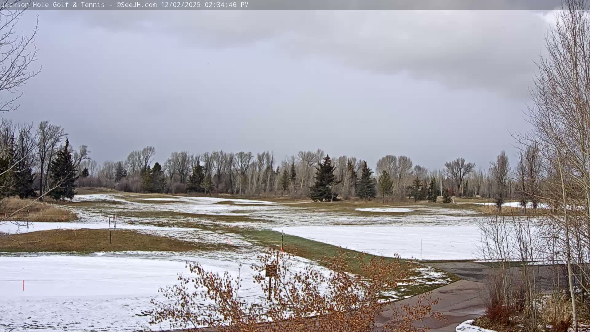 Jackson Hole Golf & Tennis Club Live Cam - Jackson, Teton, Wyoming, USA