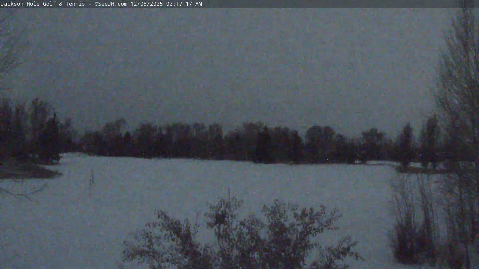 A dark, snow-covered landscape with bare trees and bushes is visible under an overcast night sky, with light snow appearing to fall.