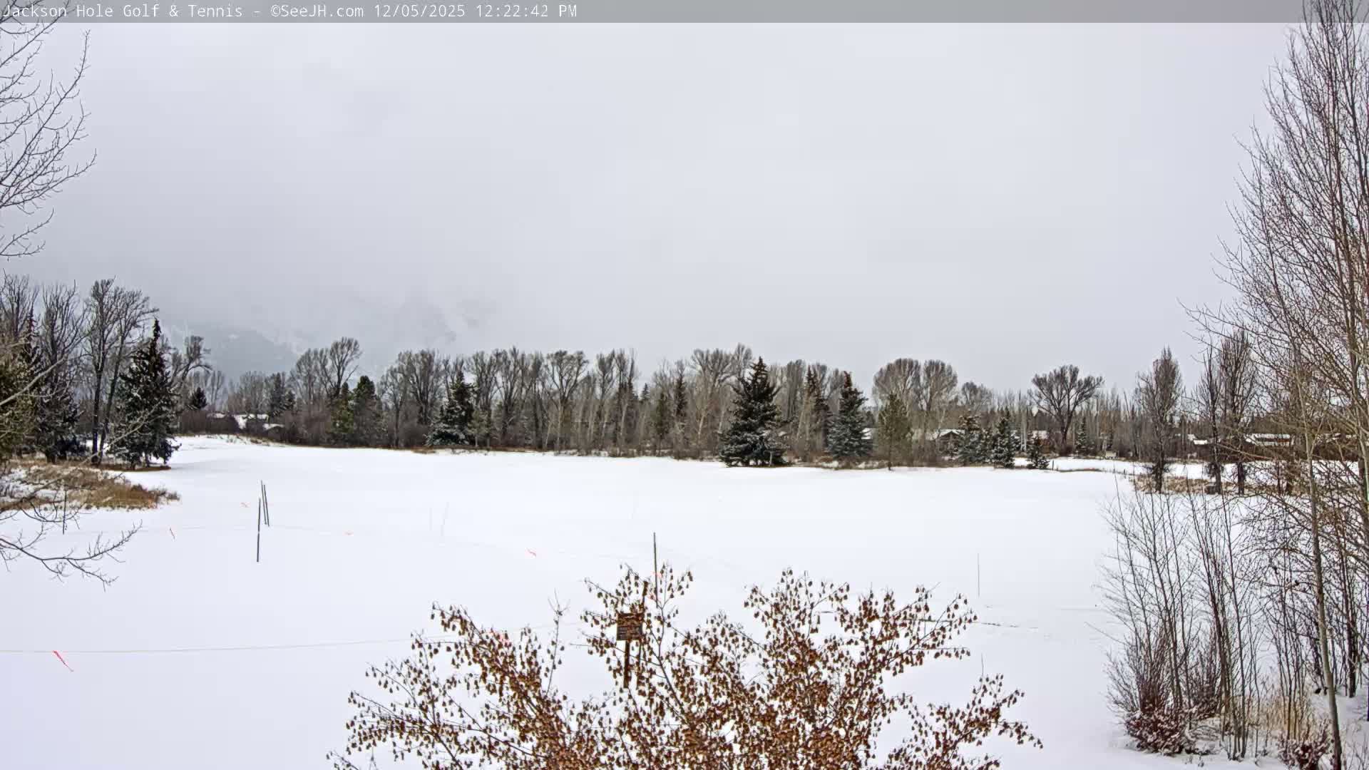 Jackson Hole Golf & Tennis Club Live Cam - Jackson, Teton, Wyoming, USA