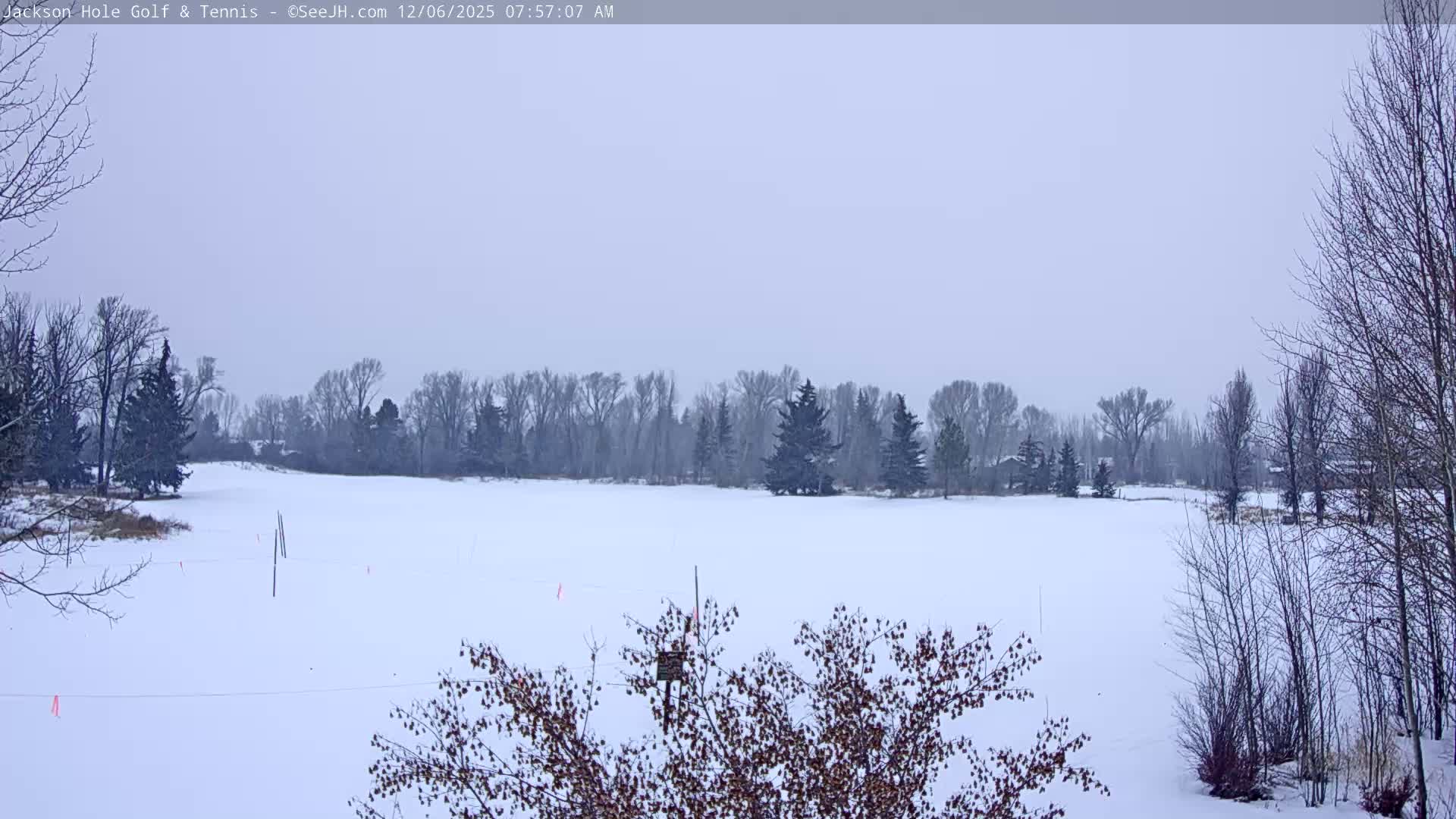 Jackson Hole Golf & Tennis Club Live Cam - Jackson, Teton, Wyoming, USA