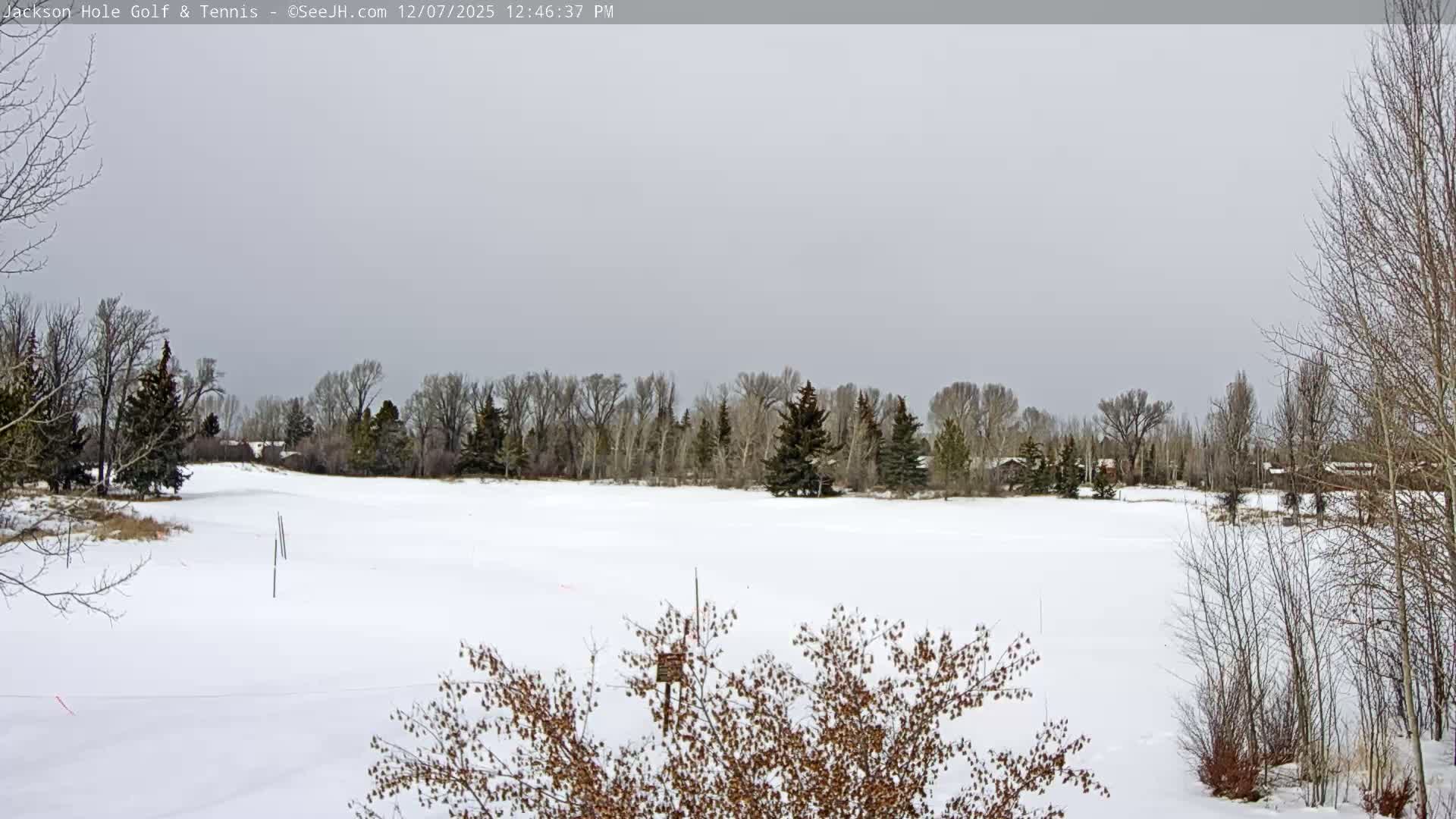 Jackson Hole Golf & Tennis Club Live Cam - Jackson, Teton, Wyoming, USA
