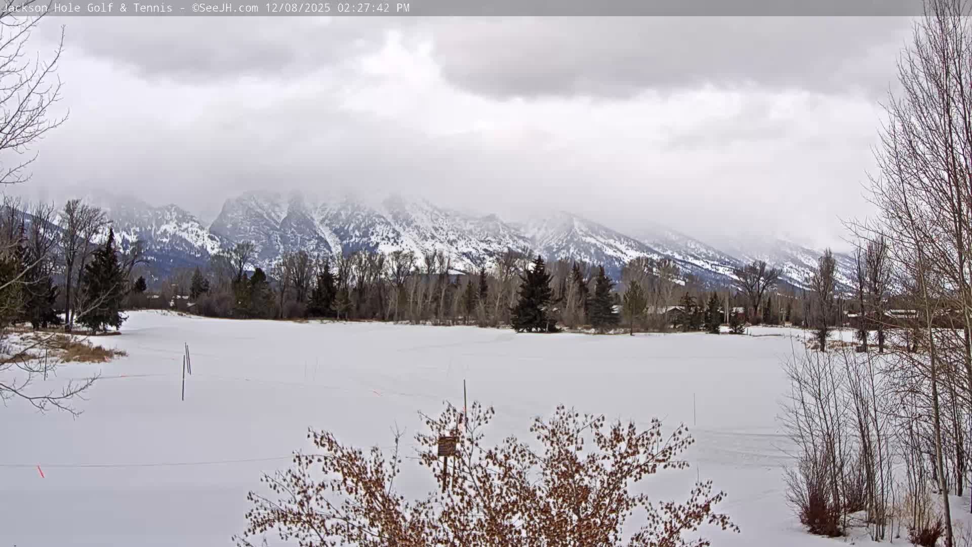 Jackson Hole Golf & Tennis Club Live Cam - Jackson, Teton, Wyoming, USA