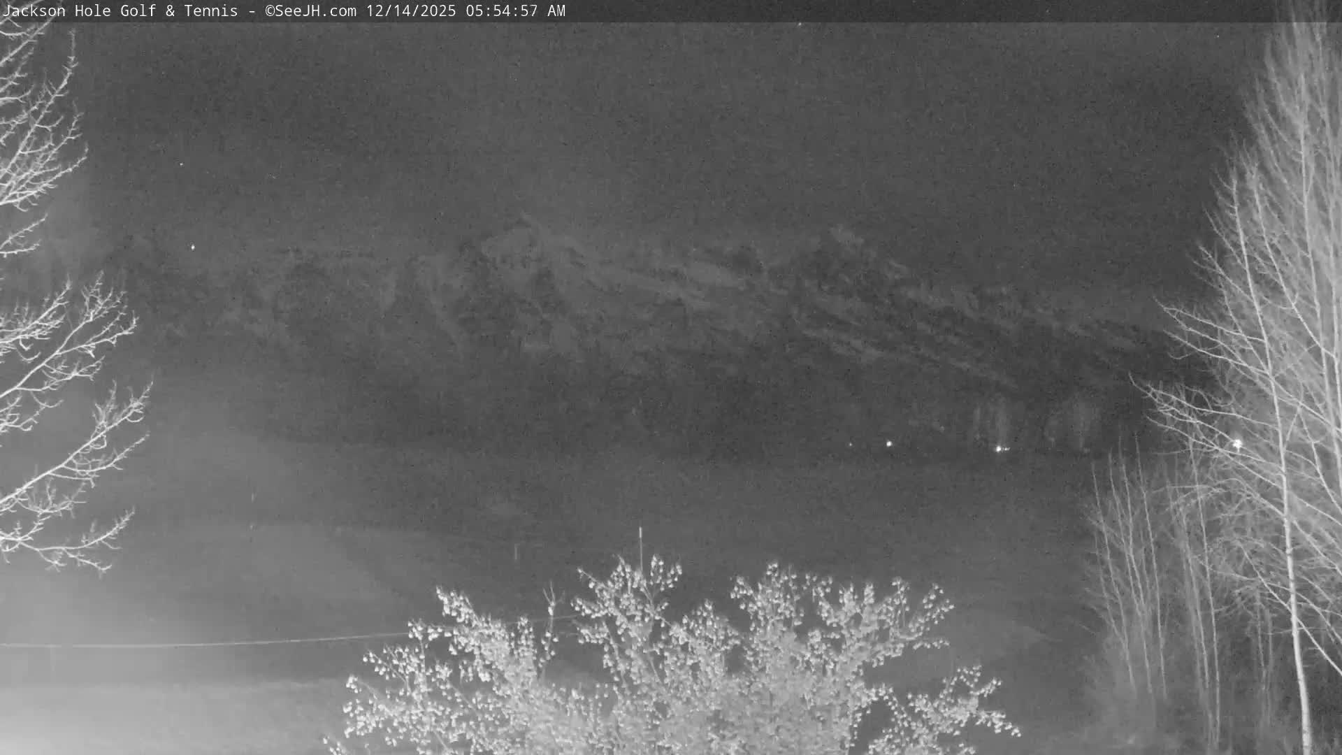 A dark, snow-covered landscape with bare trees and bushes is visible under an overcast night sky, with light snow appearing to fall.